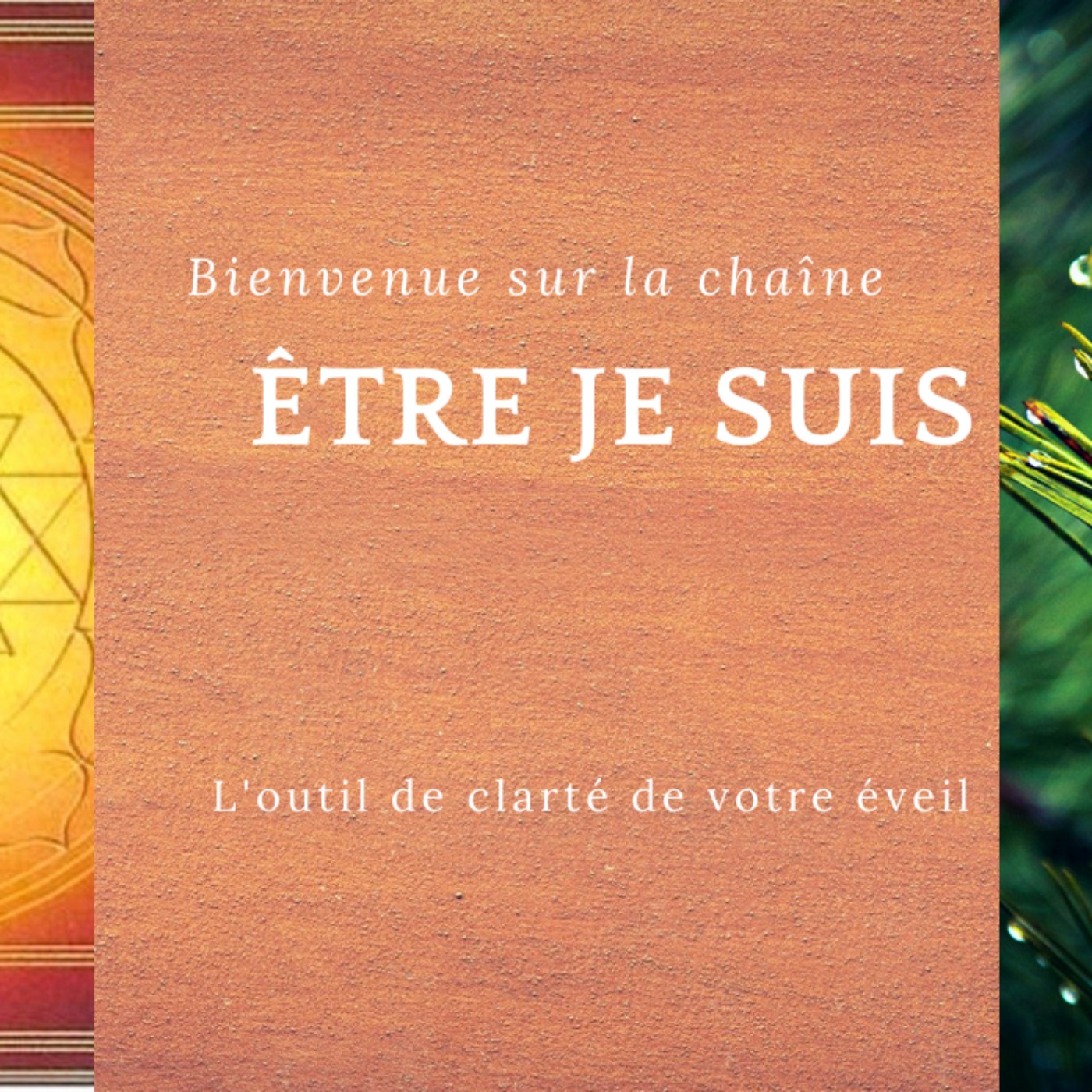 Ce n'est pas celui qui dit, qui EST...