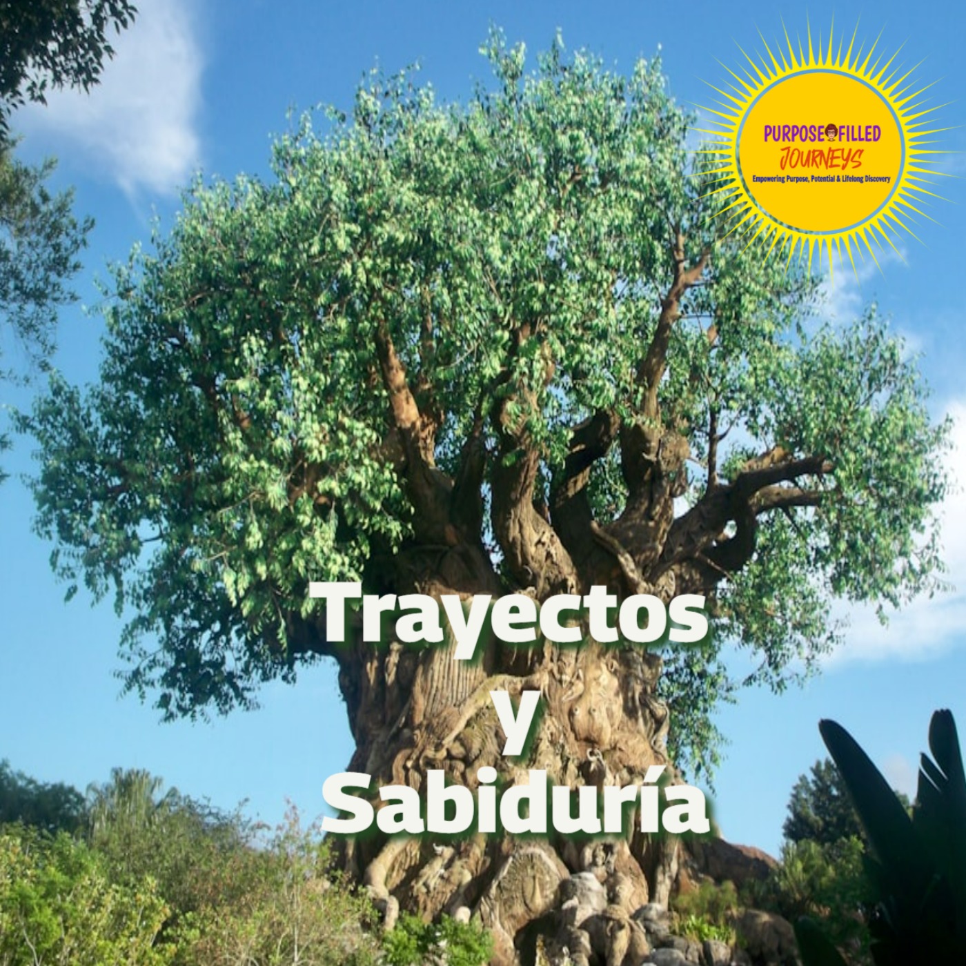 Trayectos y Sabiduría