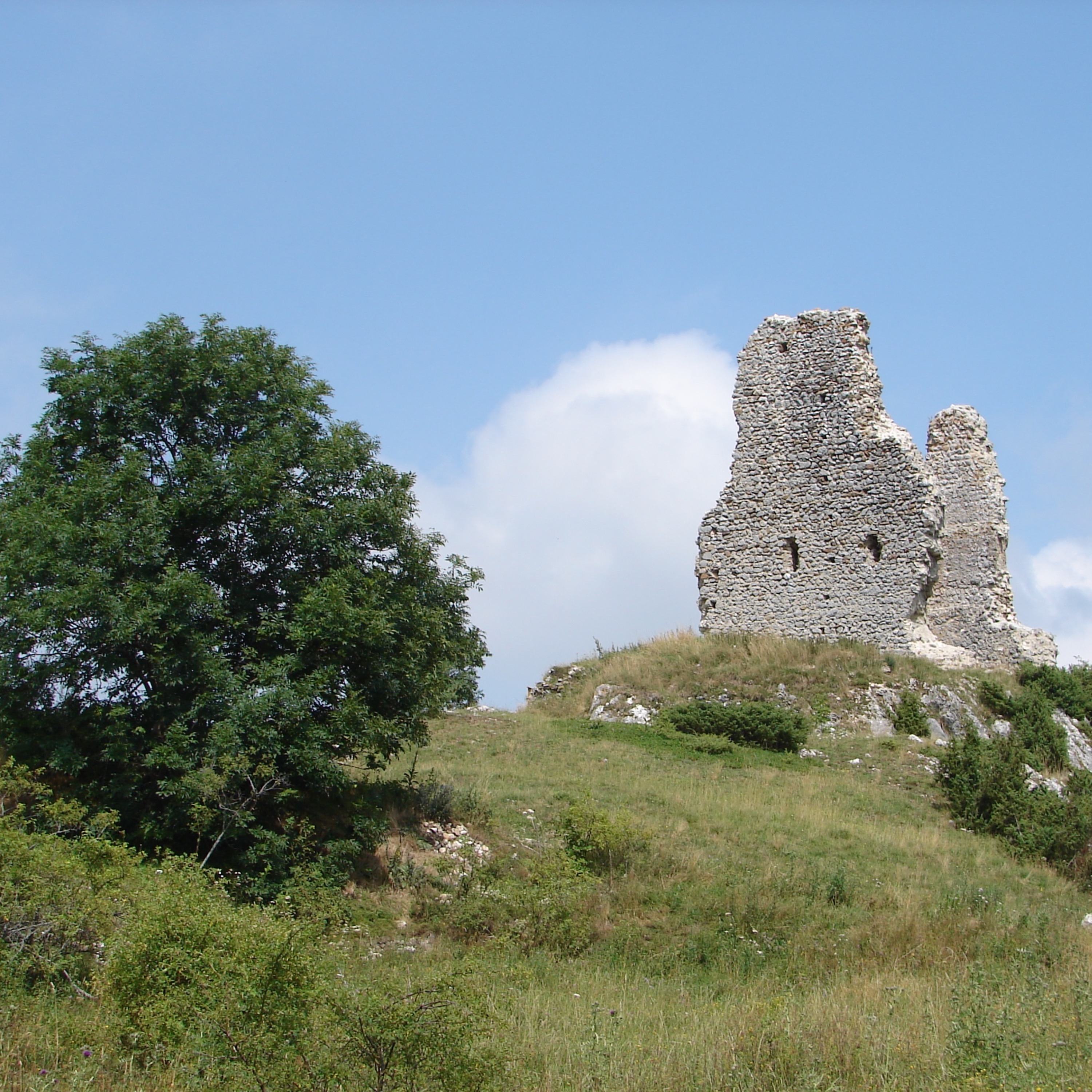 Montaillou - Life in a Medieval Village