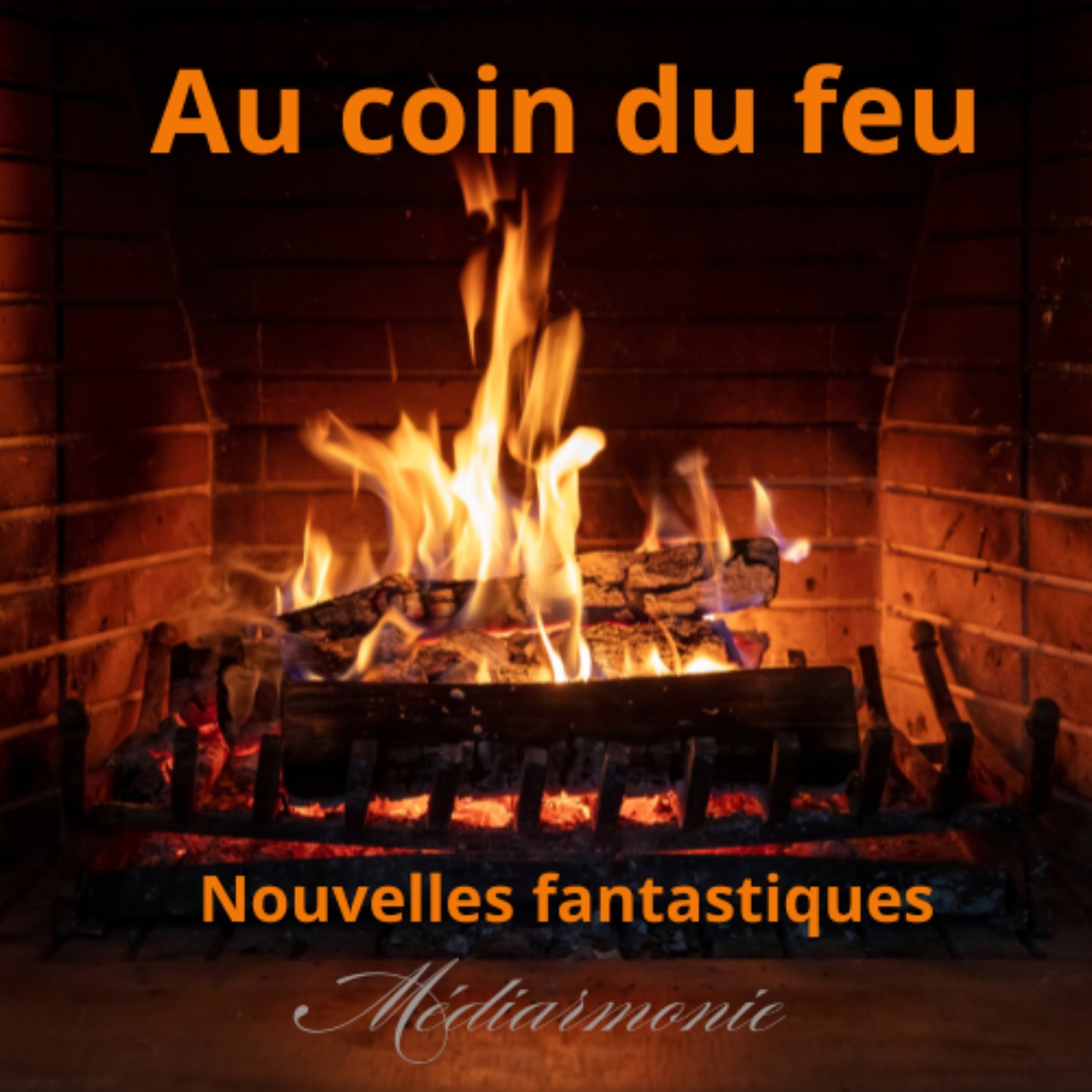Au coin du feu. Nouvelles fantastiques 