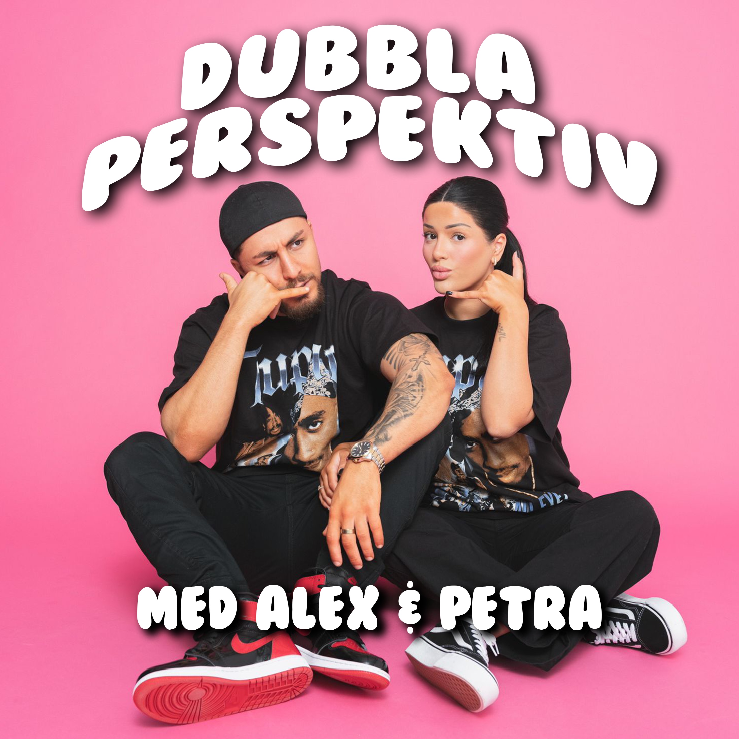 Dubbla Perspektiv