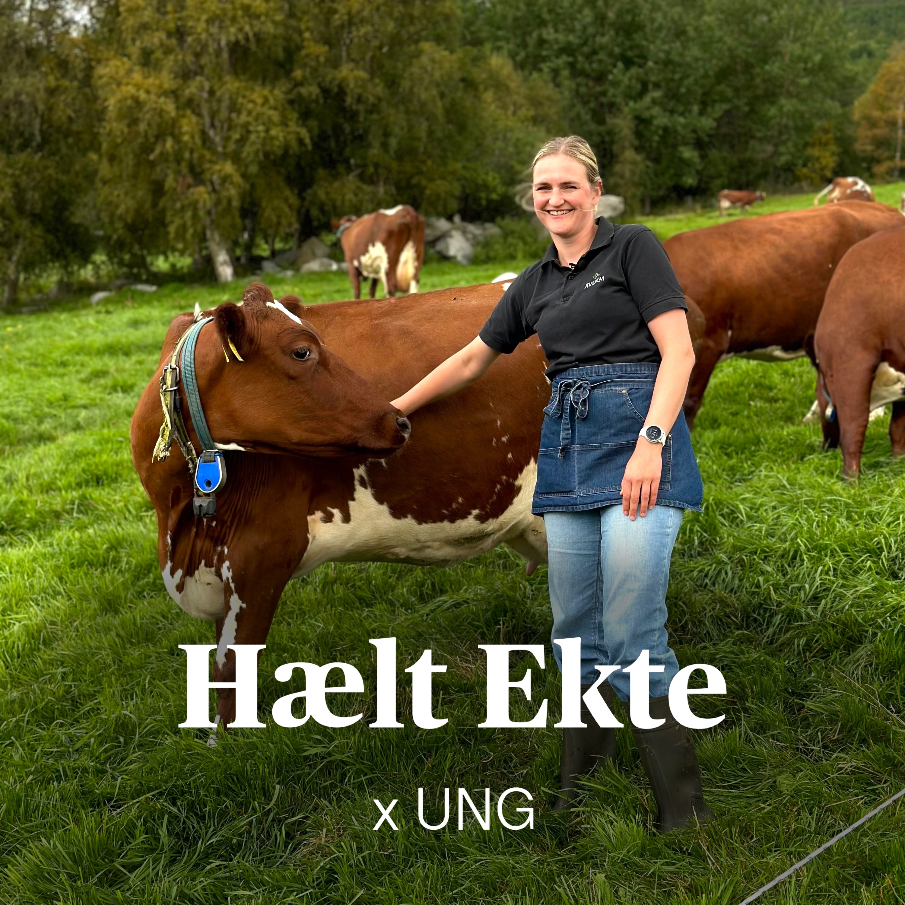 Hælt Ekte x UNG podcast artwork