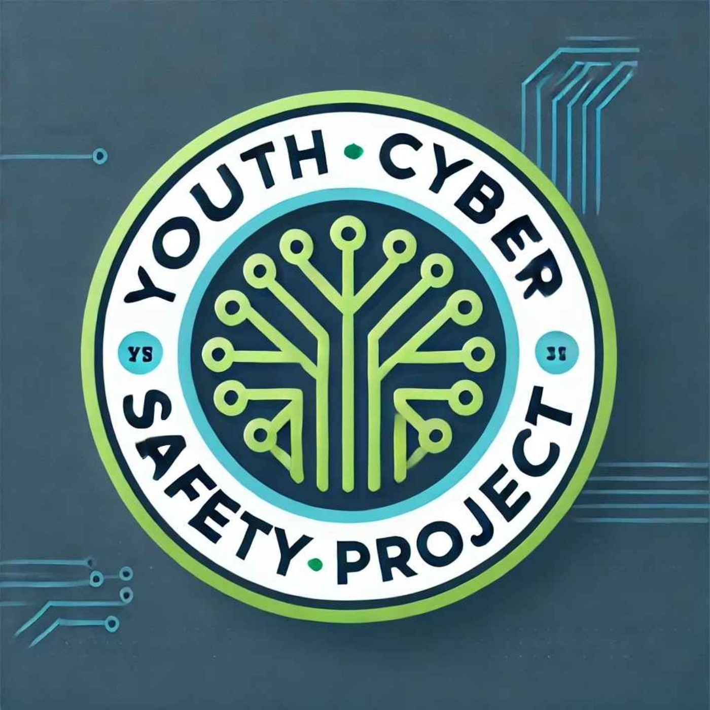 Youth Cyber Safety Project