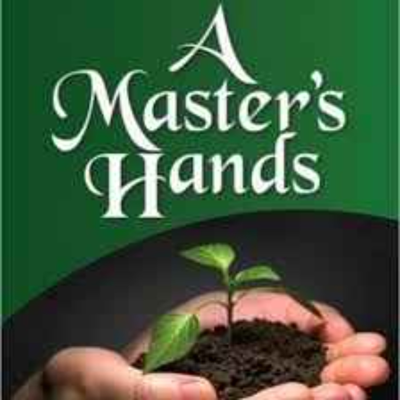 Handyman Insights with A Master’s Hands