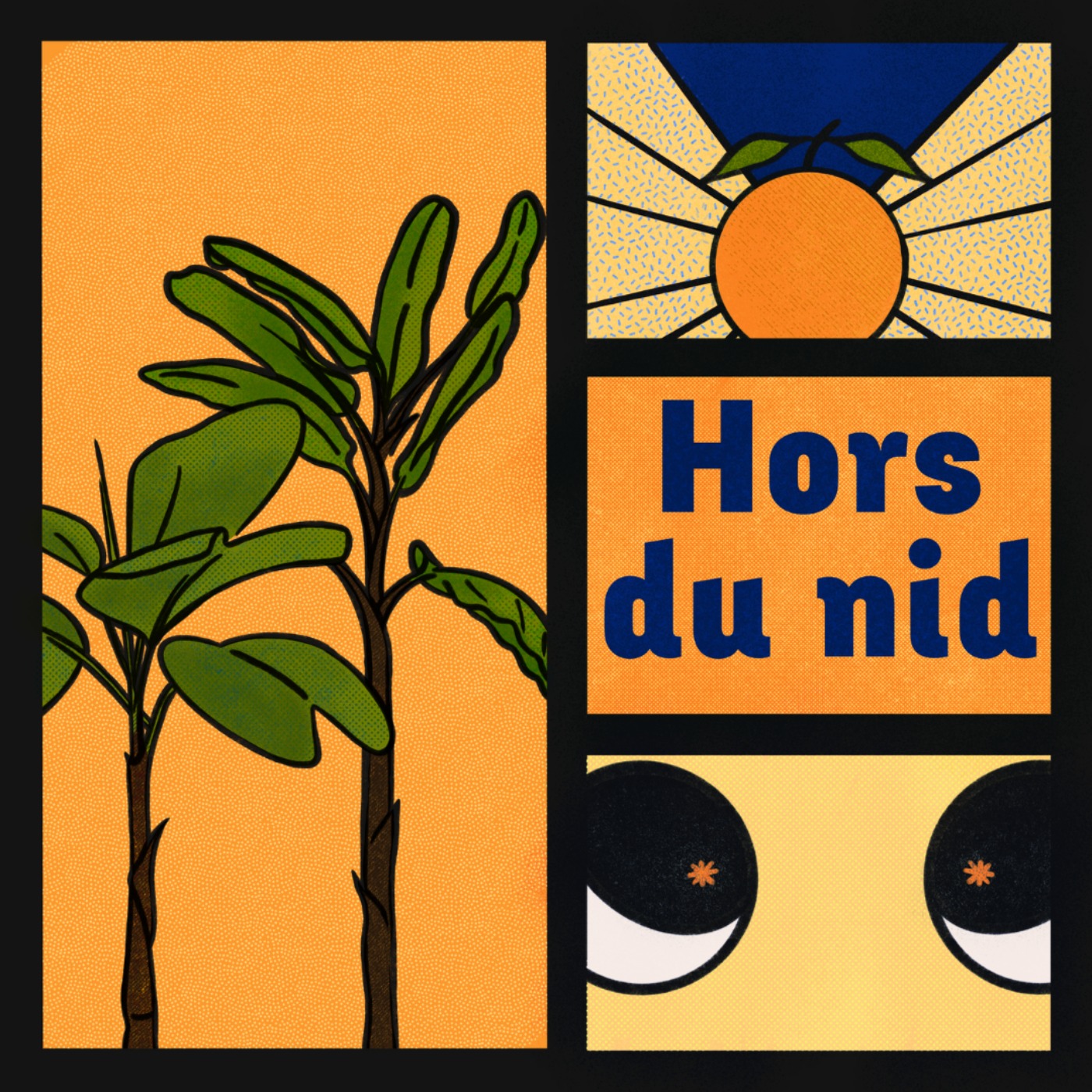 Radio Béguin Hors du Nid podcast artwork