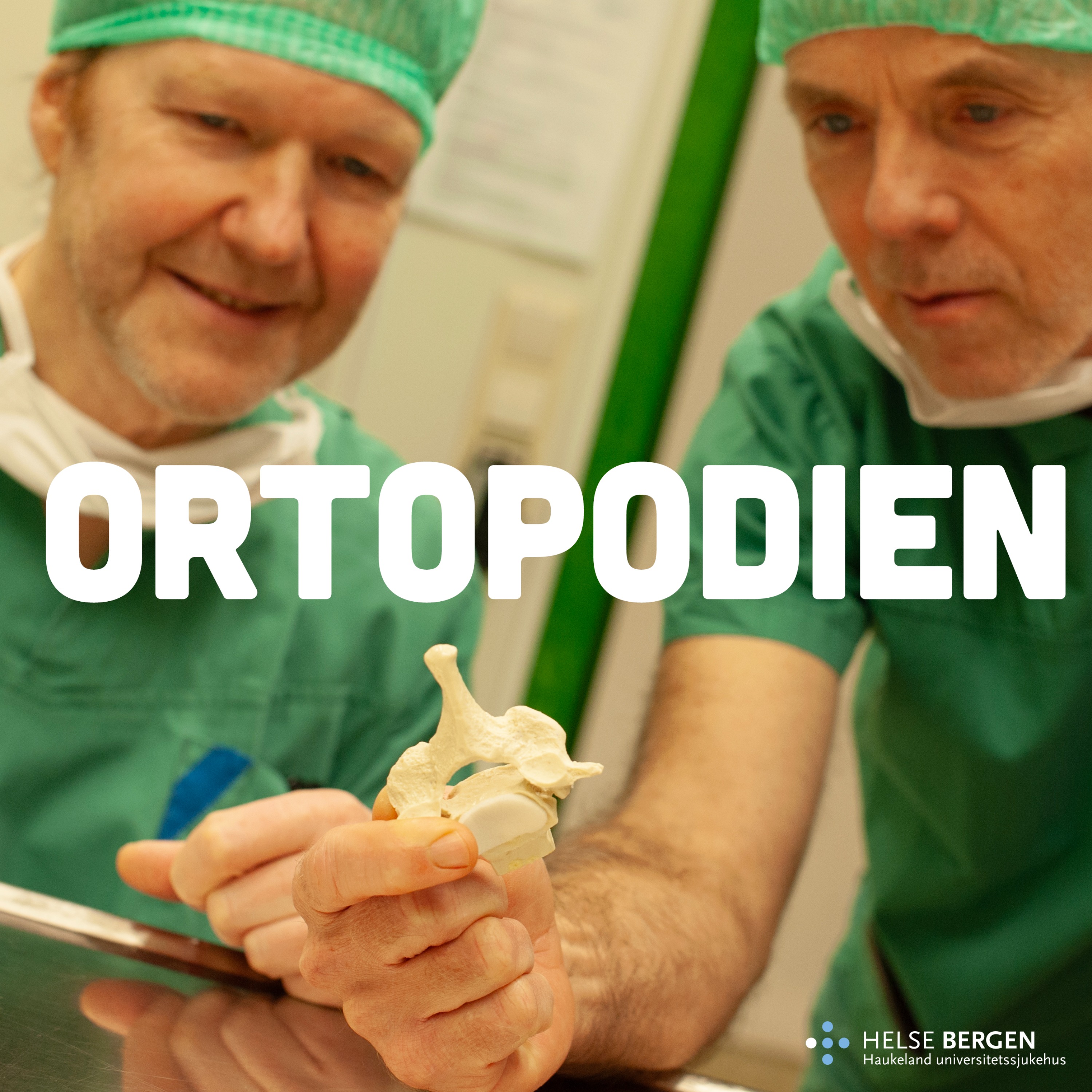 Ortopodien