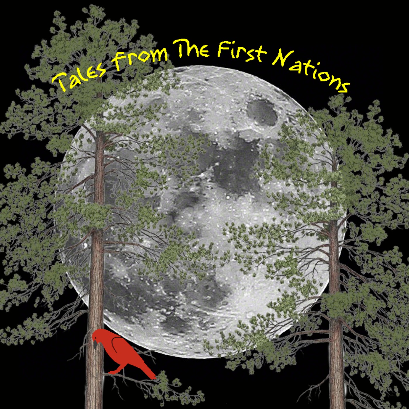 Tales From The First Nation