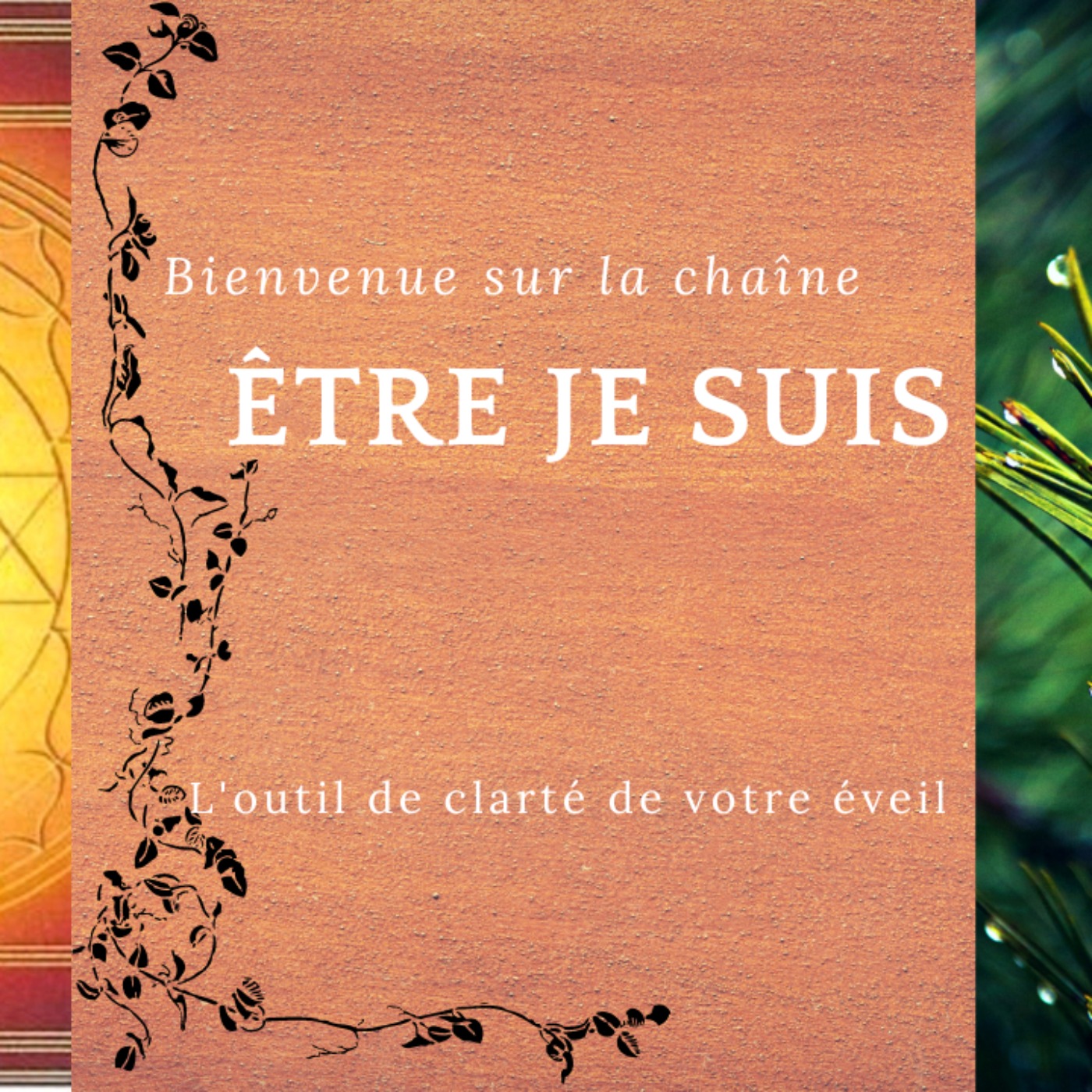 Soin pour apaiser vs  soin pour guérir podcast artwork