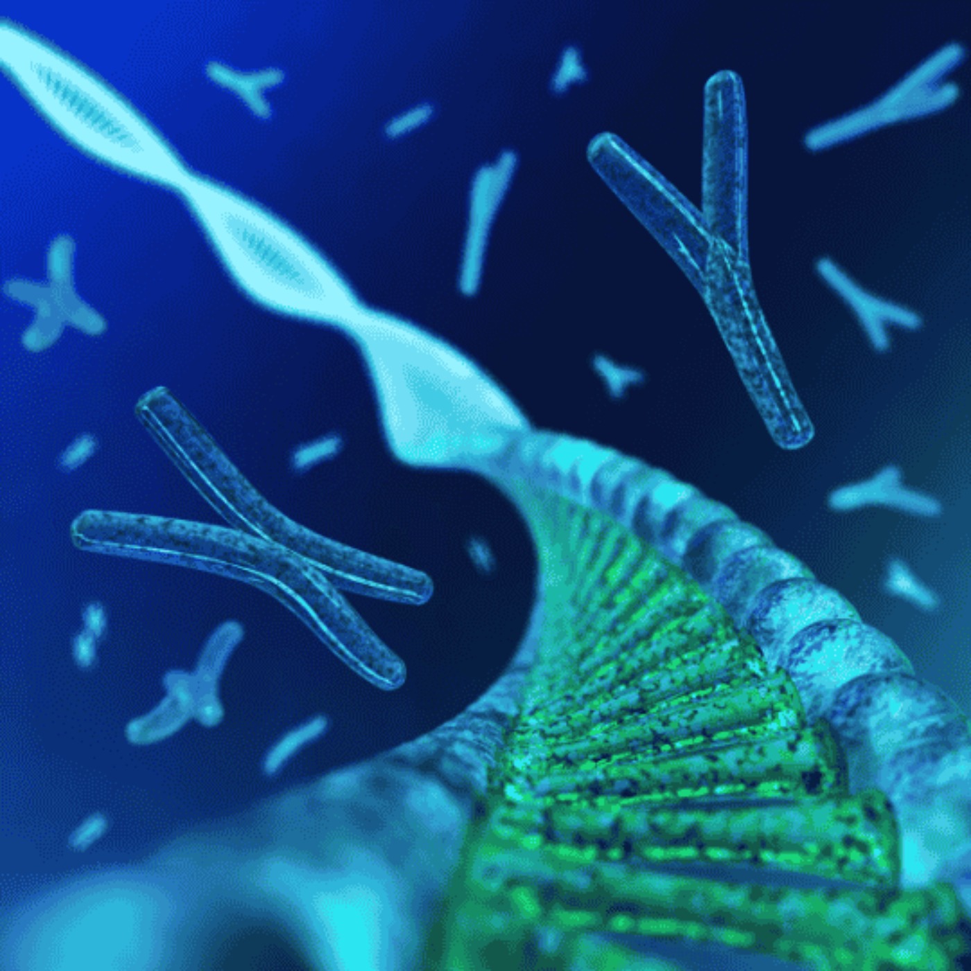 Quest for Immortality: How can humans live forever ?