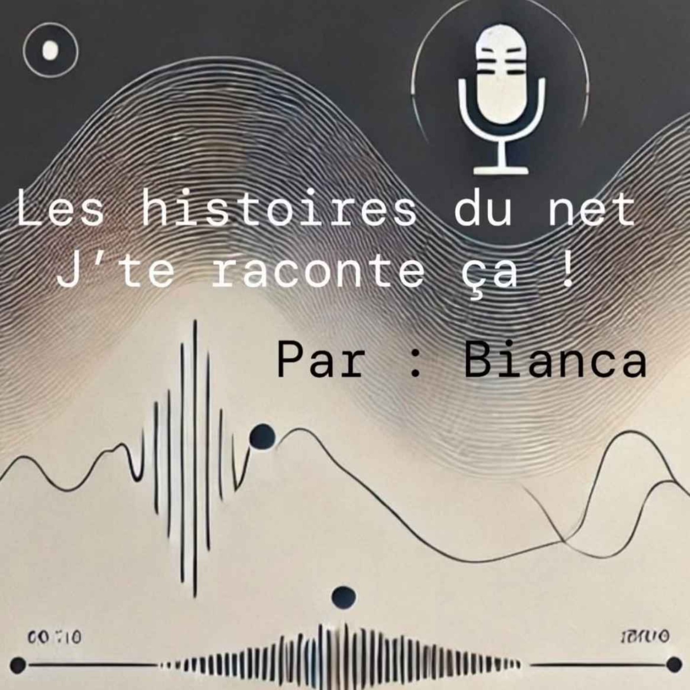 les histoires du net !  j'te raconte ca podcast artwork