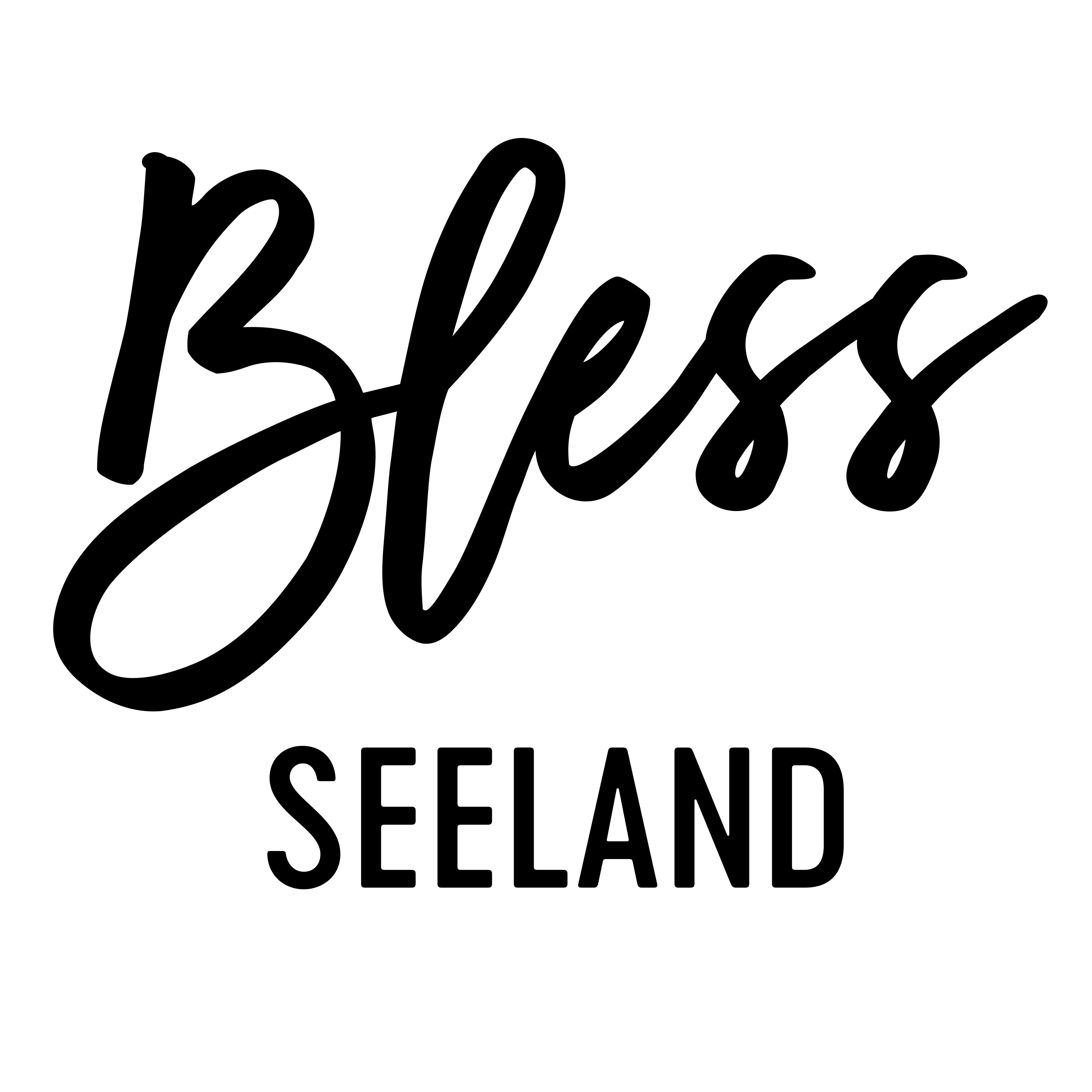 BlessSeeland