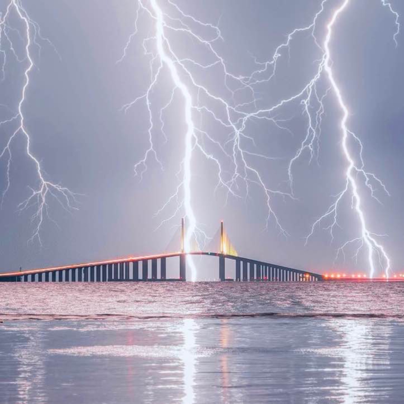 Crazy Storm World (Music)2025 