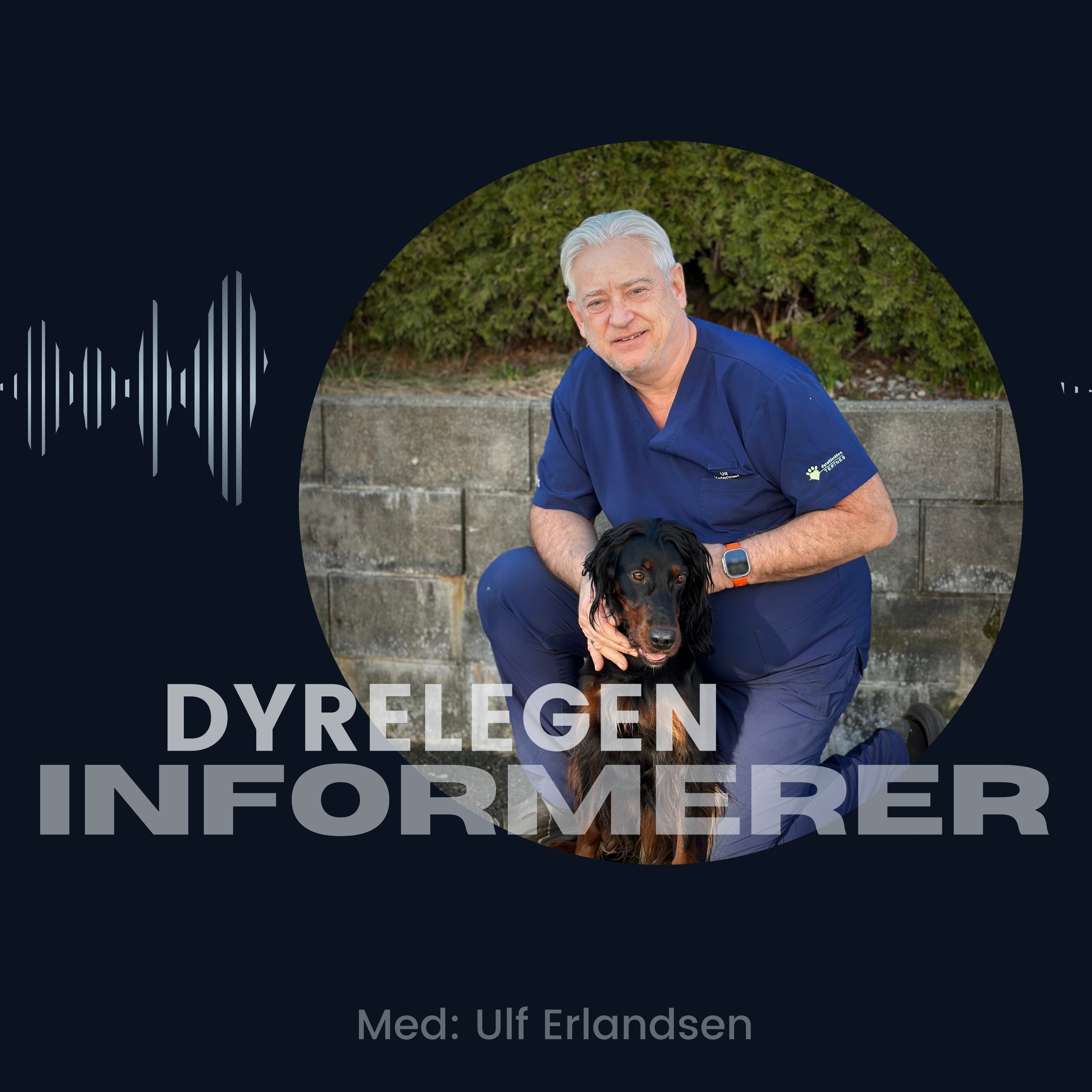 Velkommen til Dyrlegen informerer