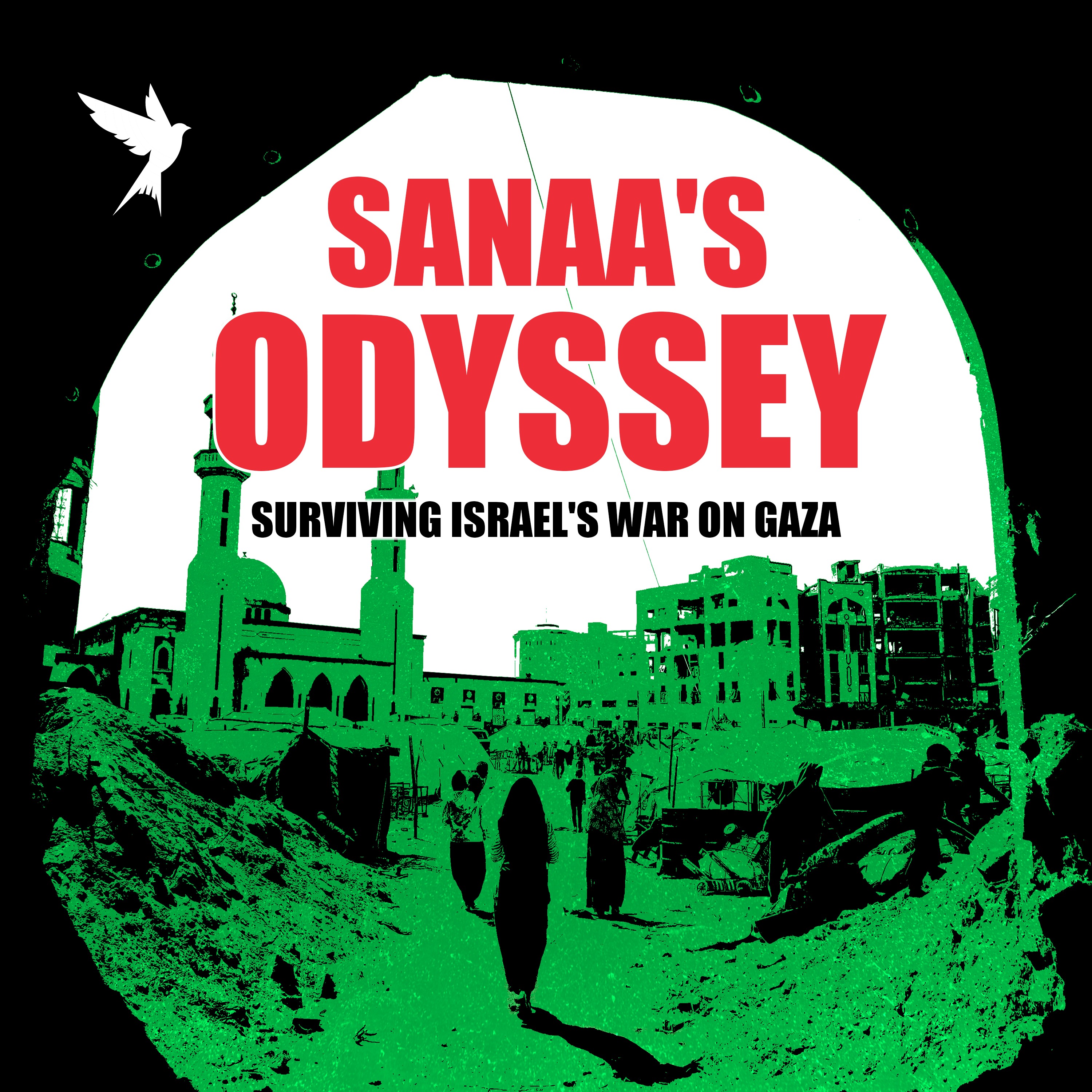 Sanaa's Odyssey