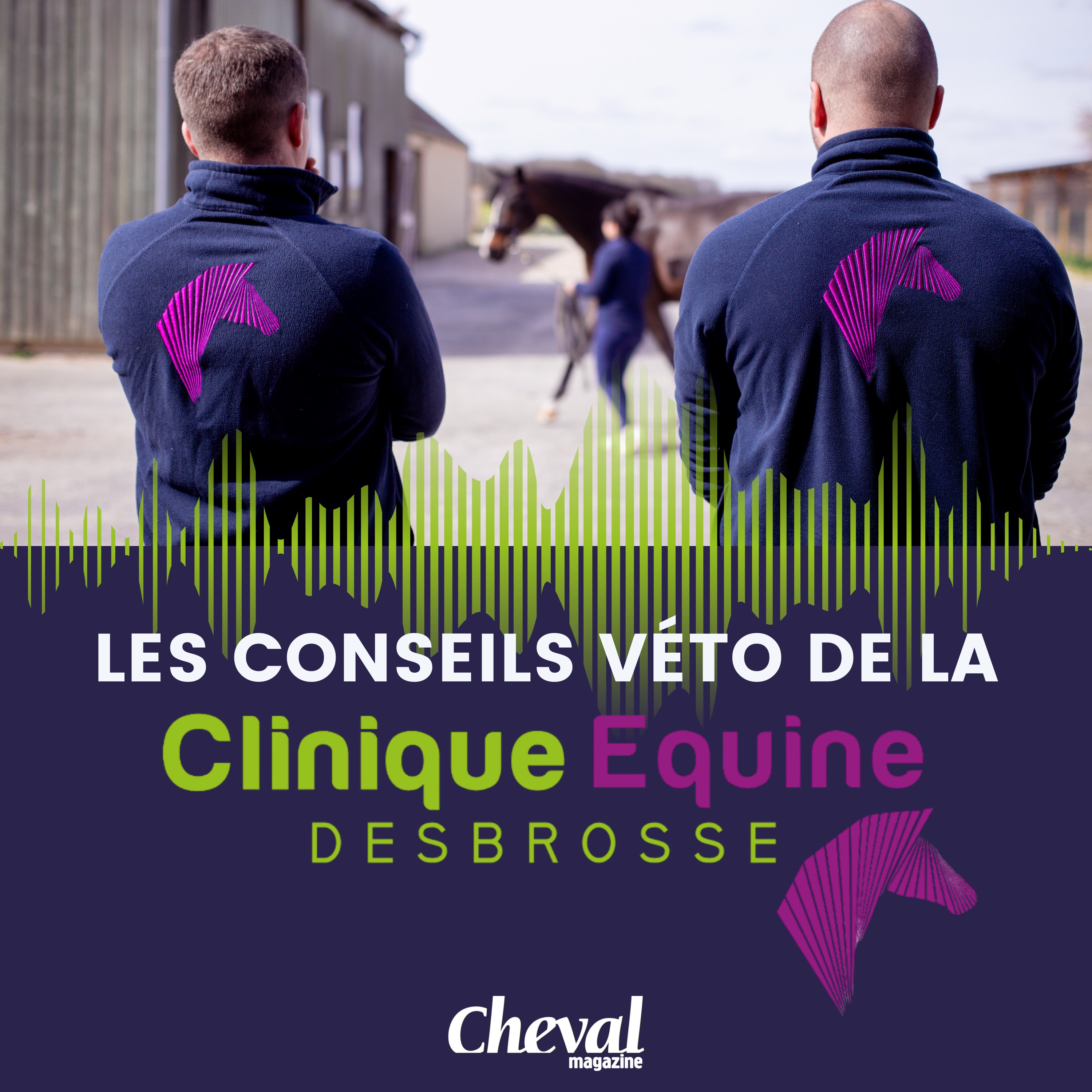 Les conseils véto de la Clinique Equine Desbrosse