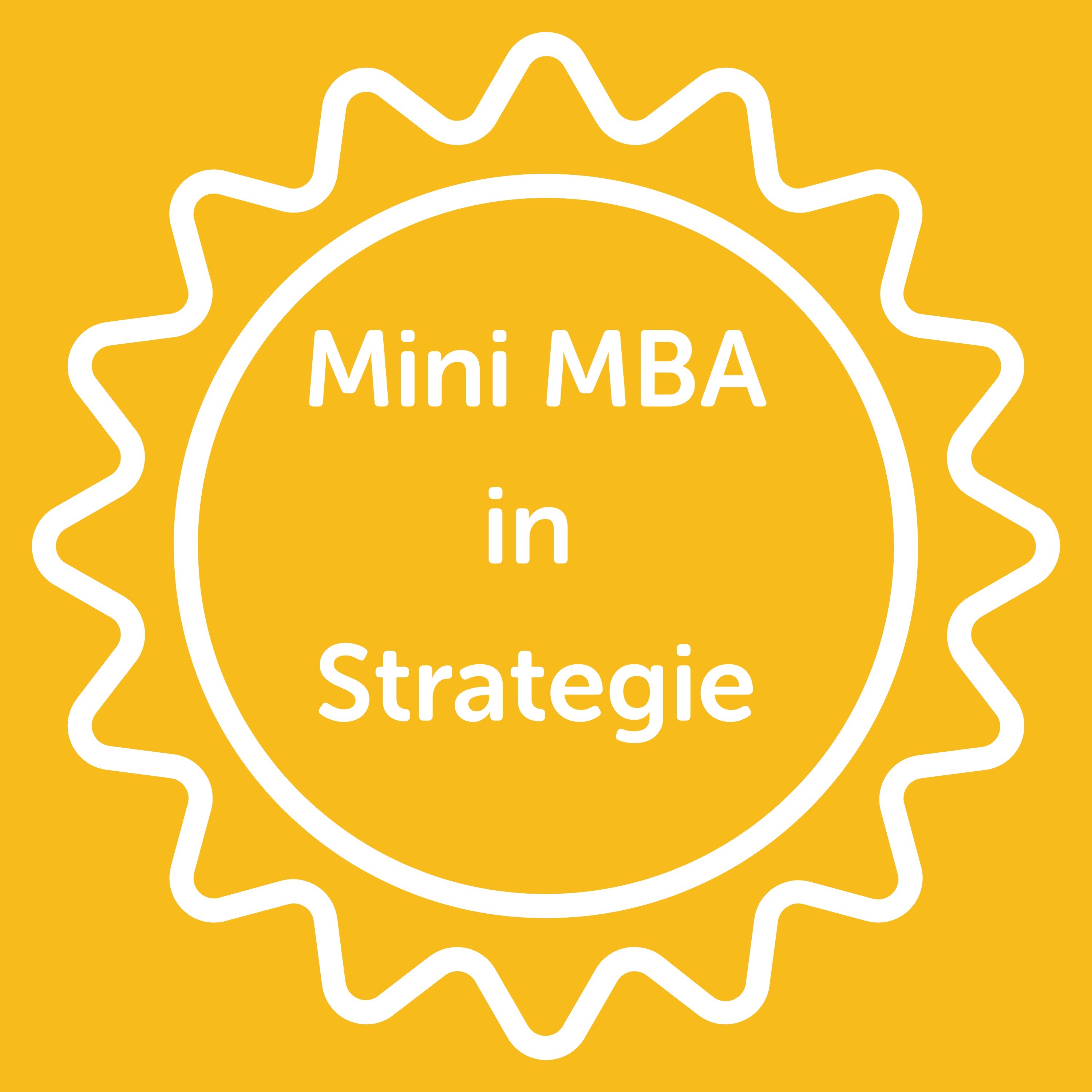 Mini MBA in Strategie