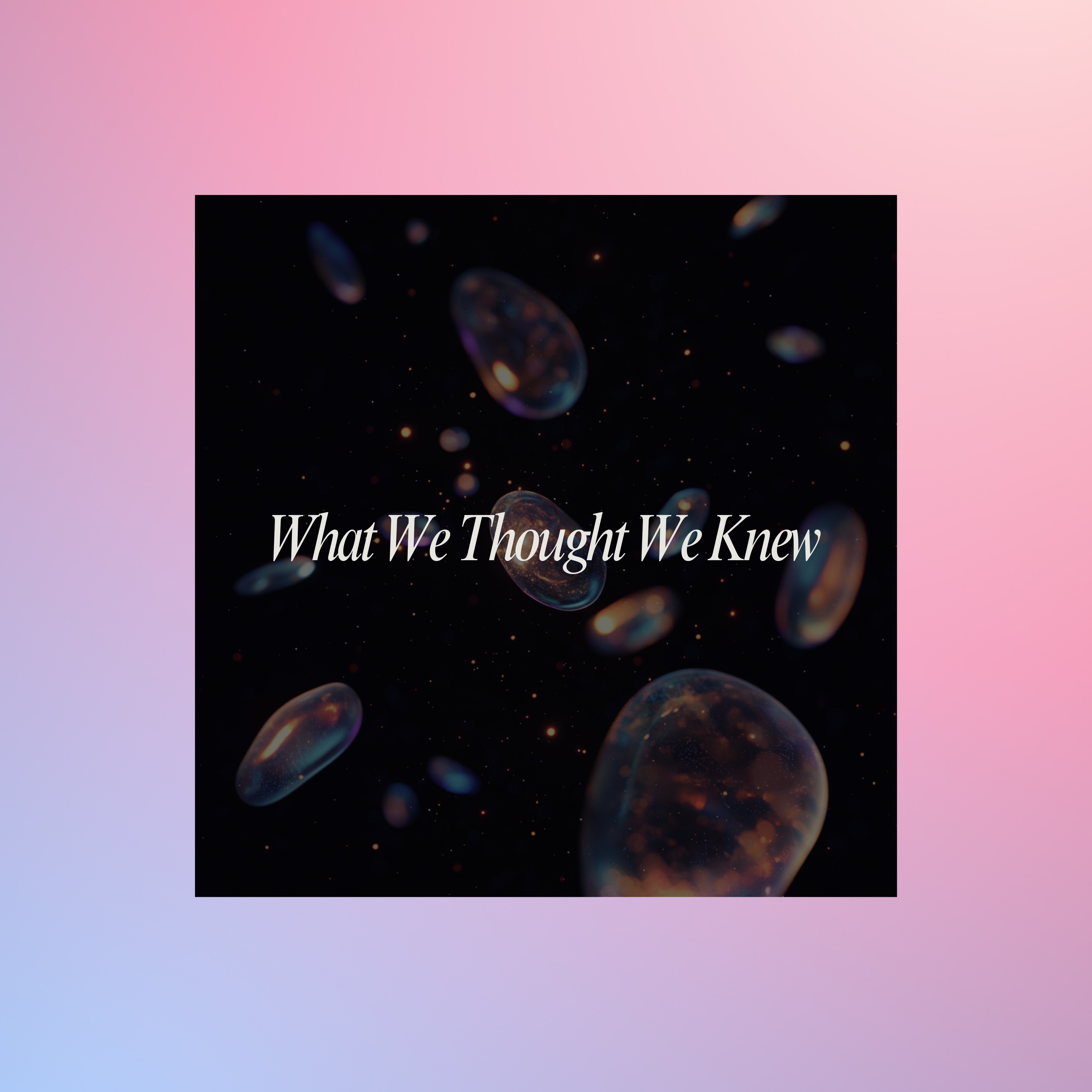 What We Thought We Knew