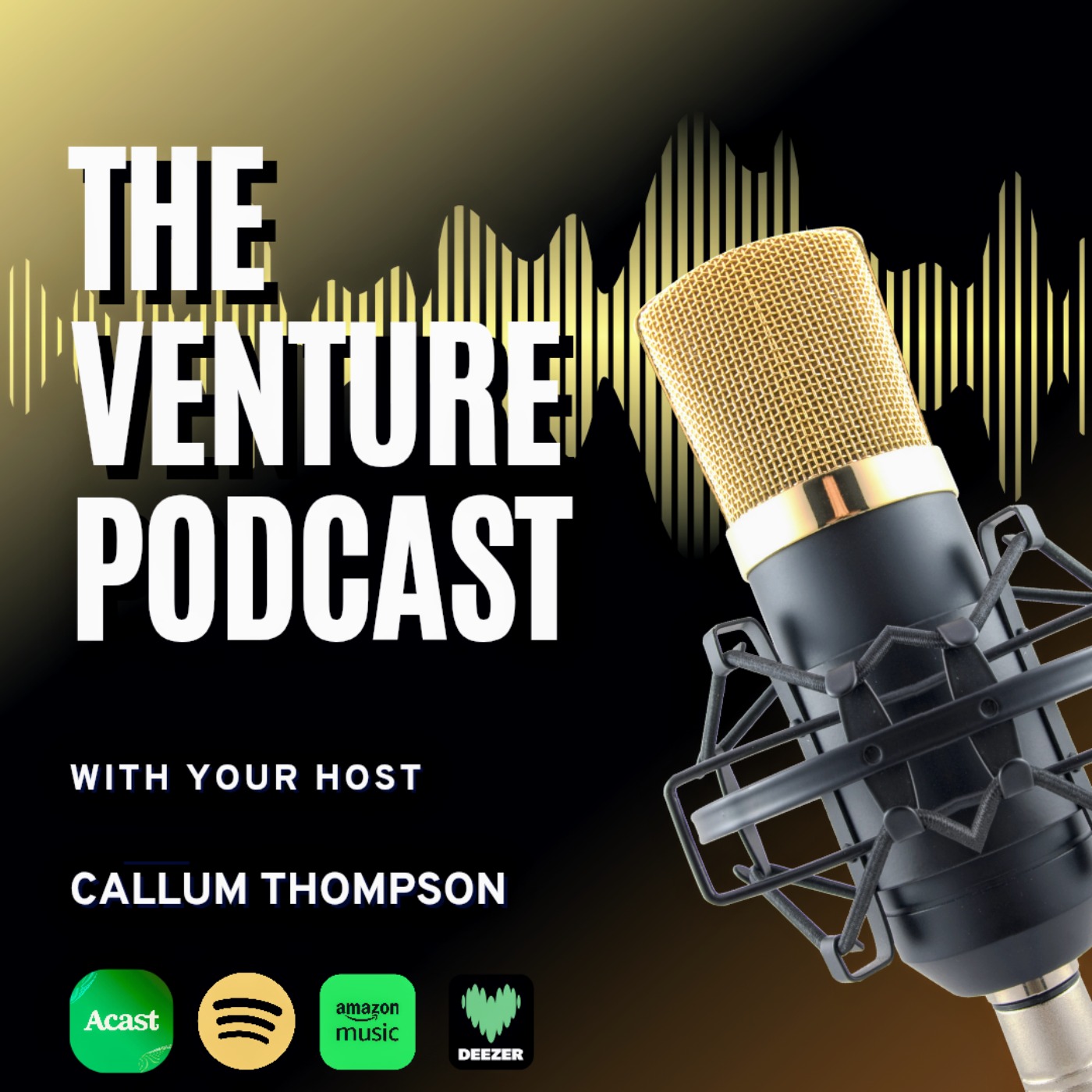 The Venture Podcast 