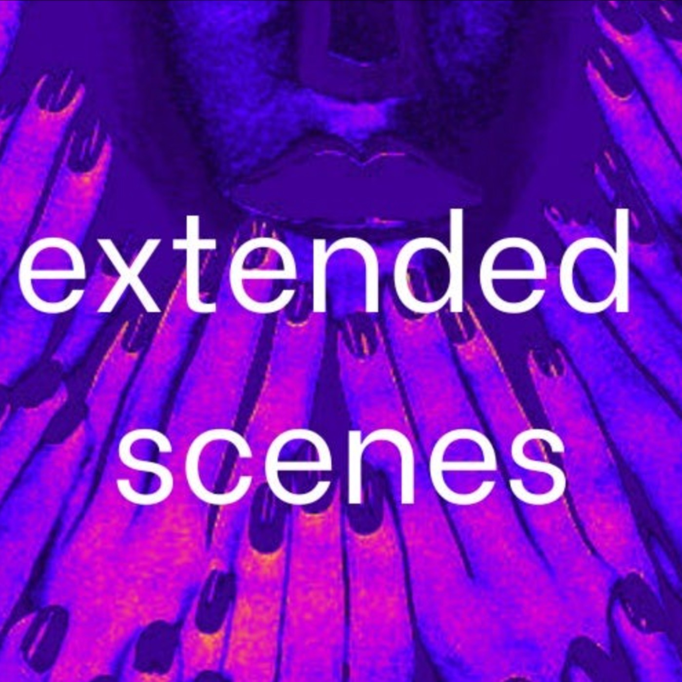 Extended Scenes