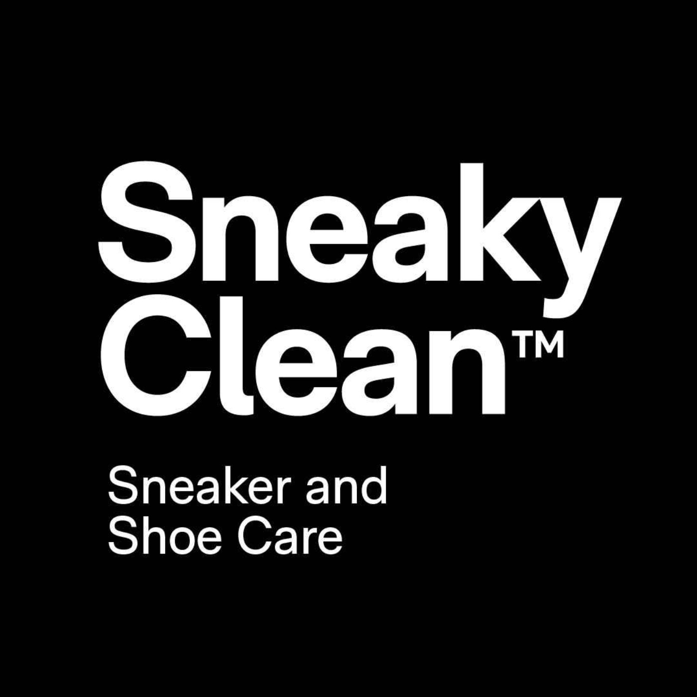 Sneaky Clean