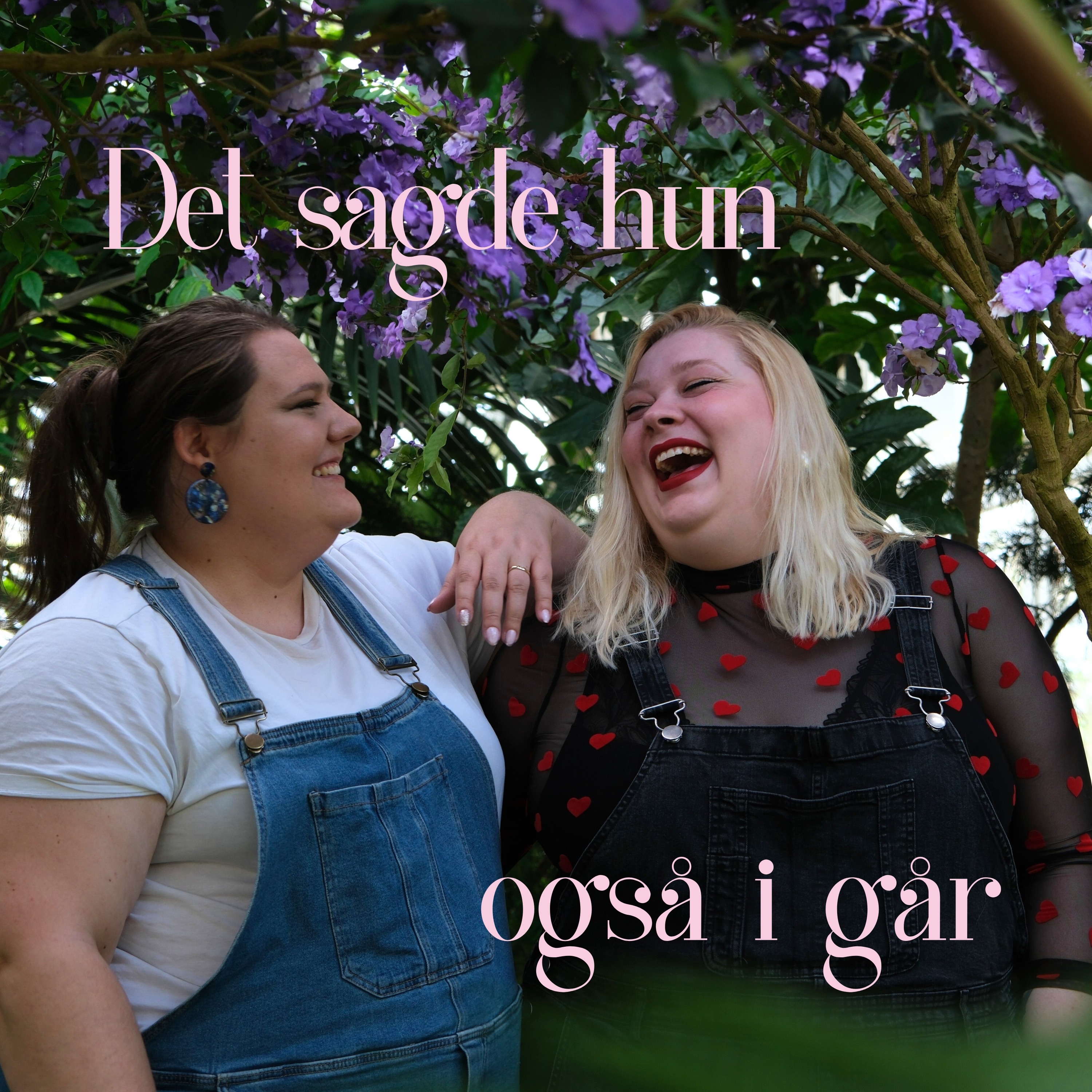 Det sagde hun også i går