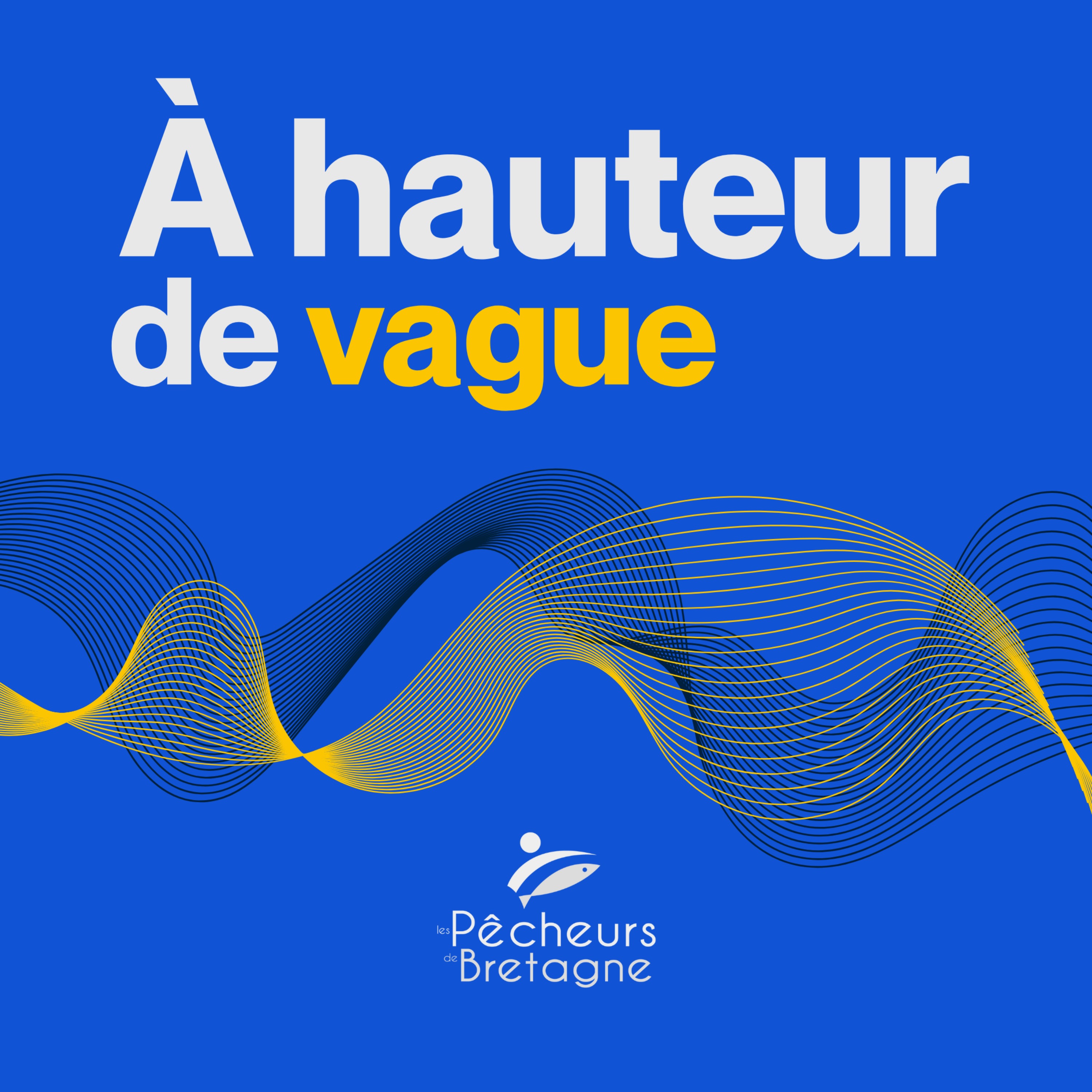 À hauteur de vague