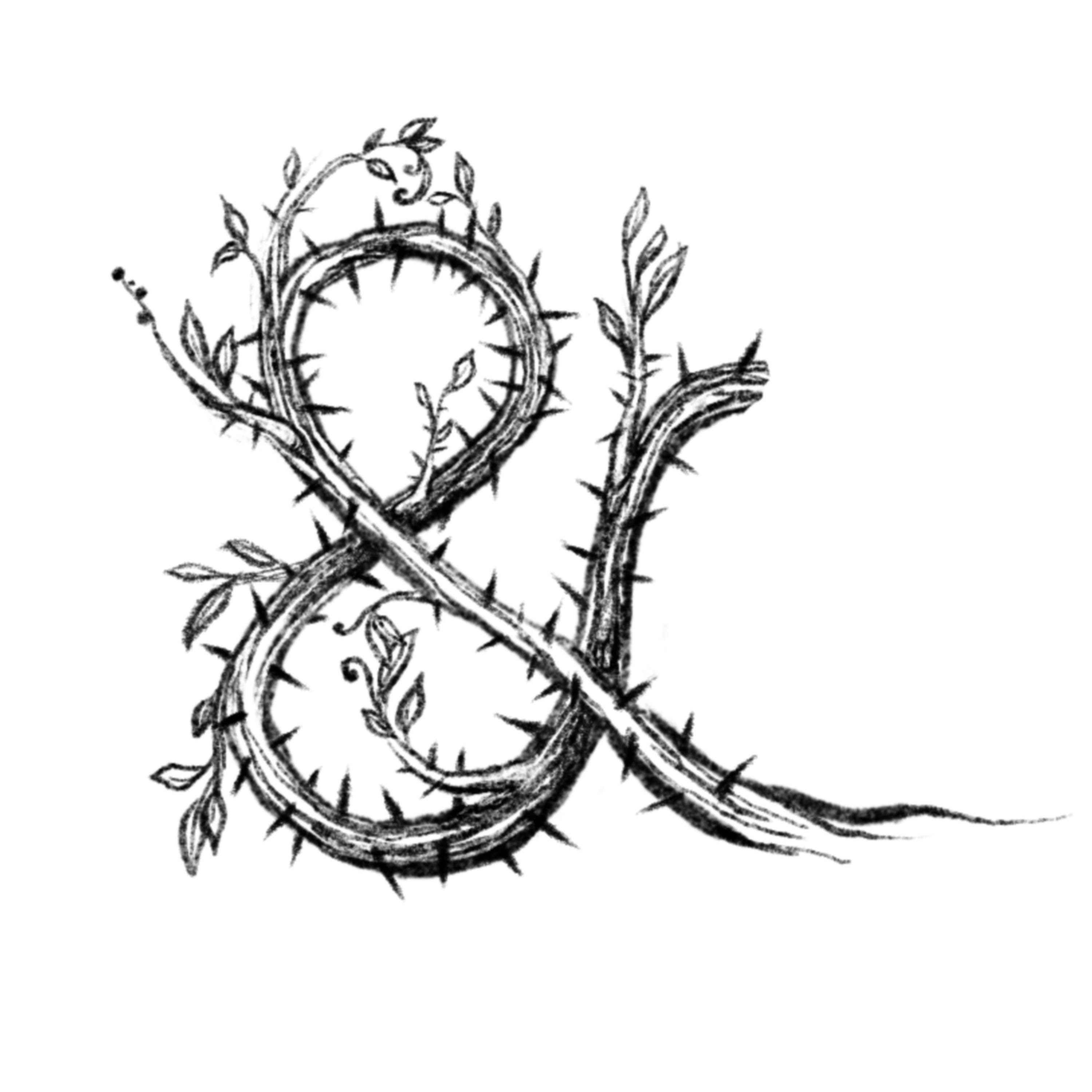 Thicket & Bramble