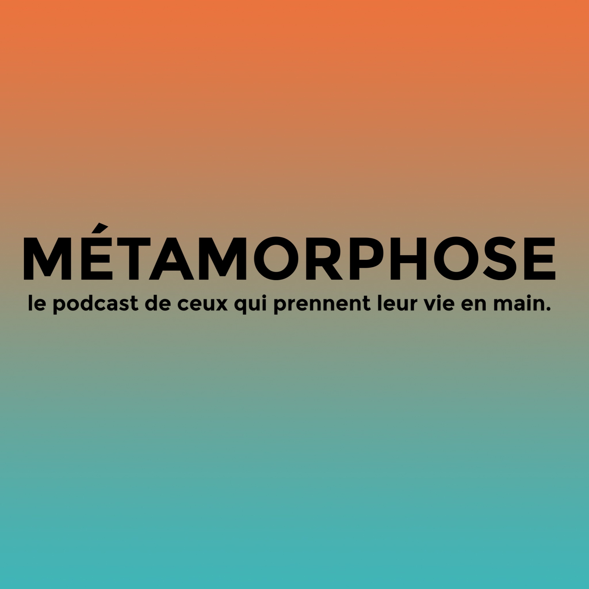 Métamorphose By Vincent Assenfi