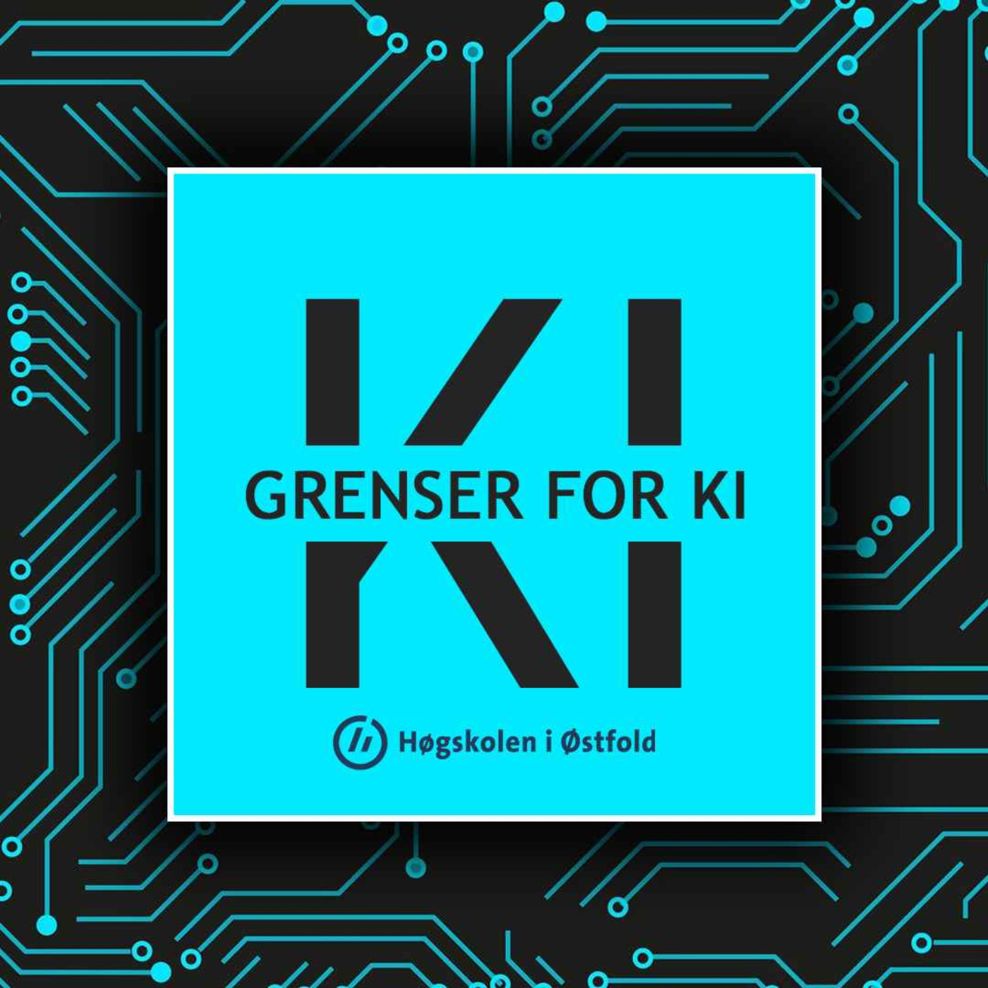 Grenser for KI