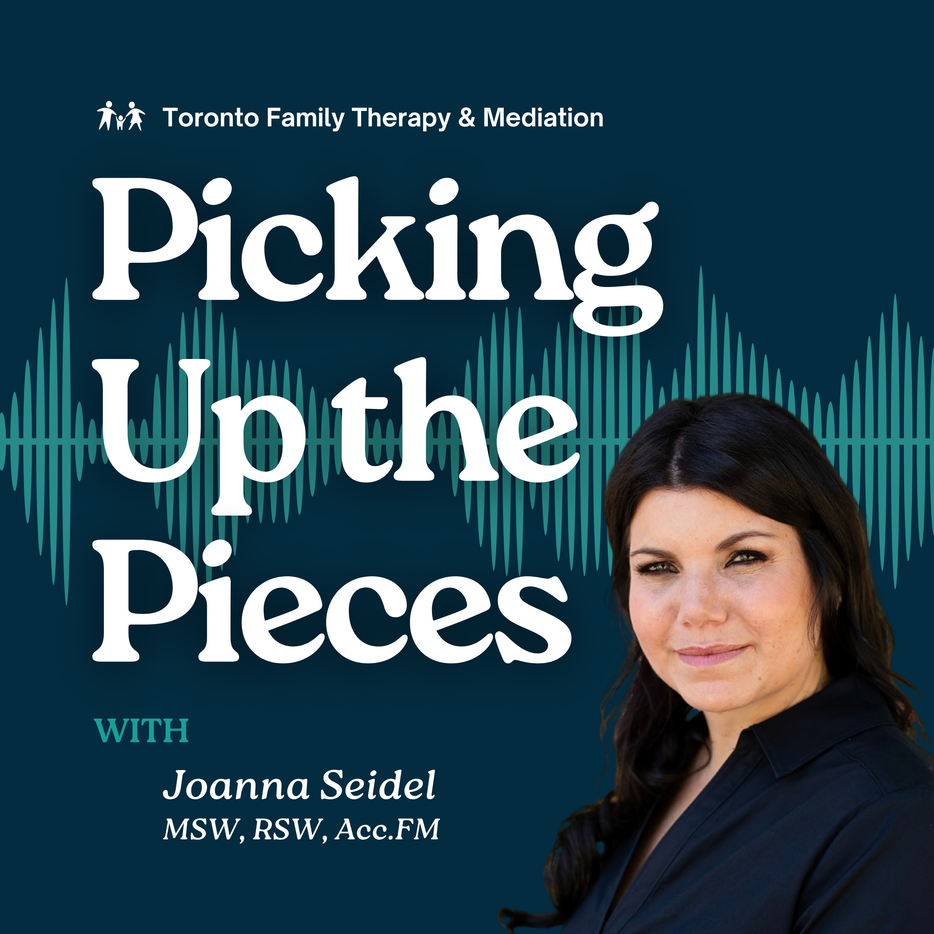 Picking Up the Pieces - Therapy Conversations with Joanna Seidel