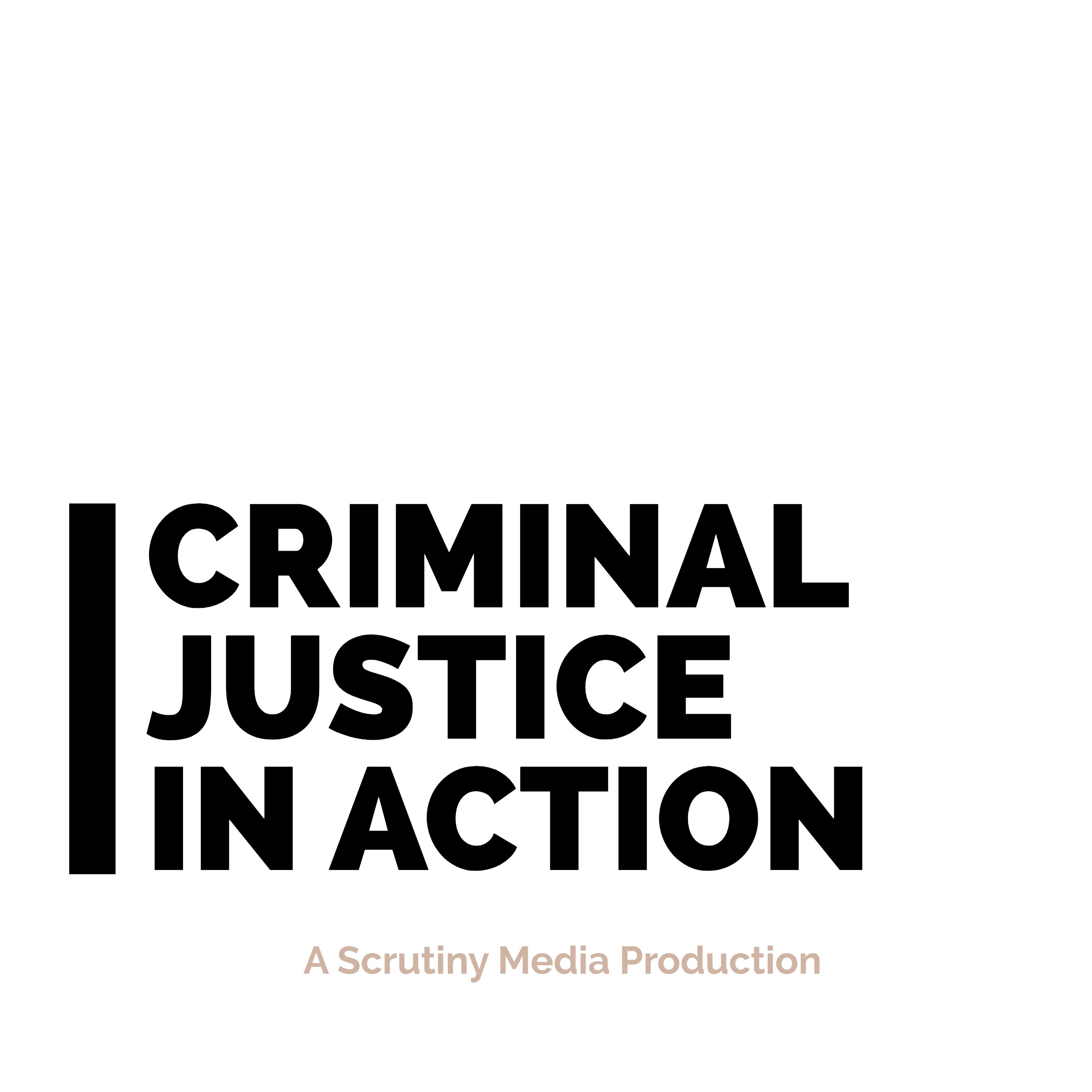 Criminal Justice in Action
