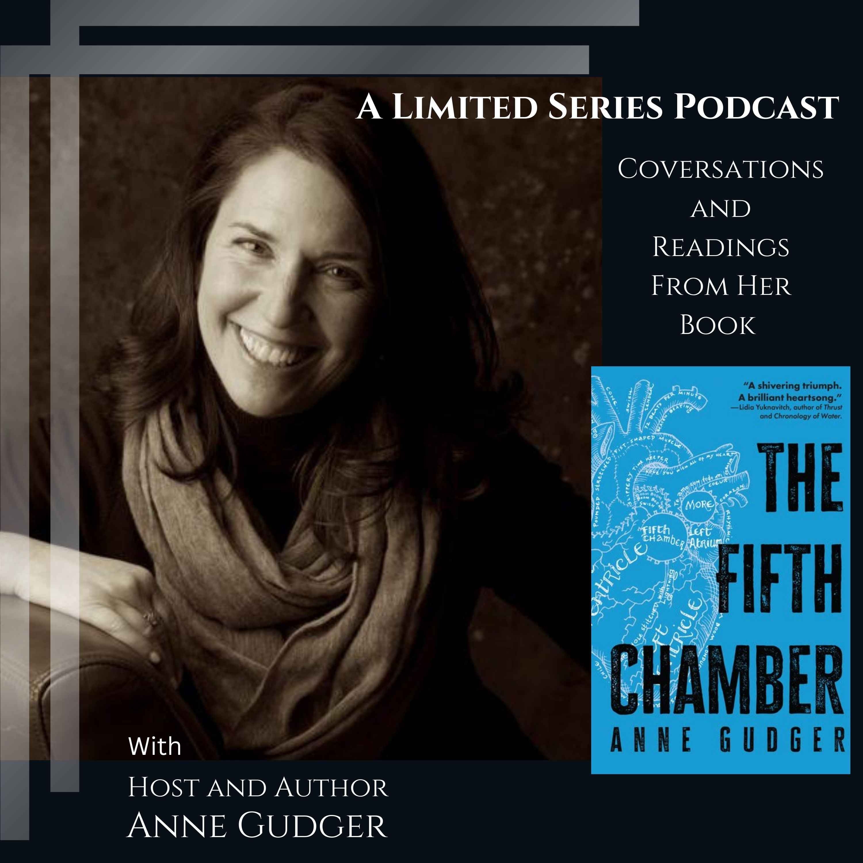 The Fifth Chamber cover