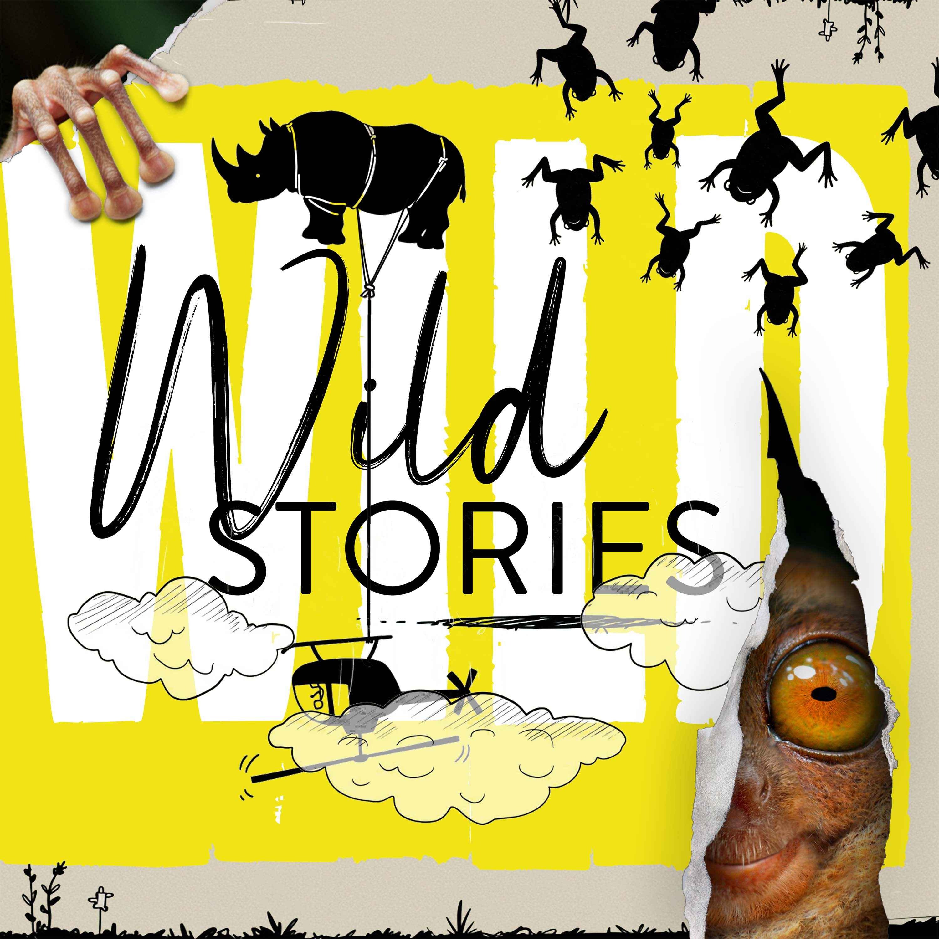 Wild Stories