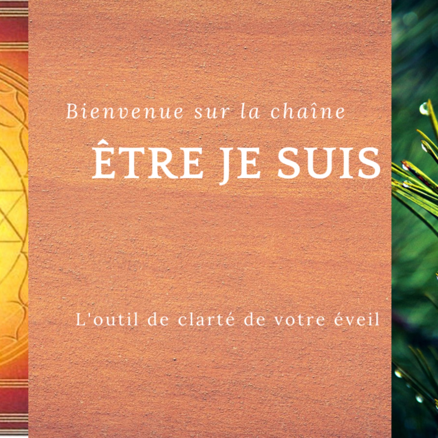 Nous sommes ce que nous sommes