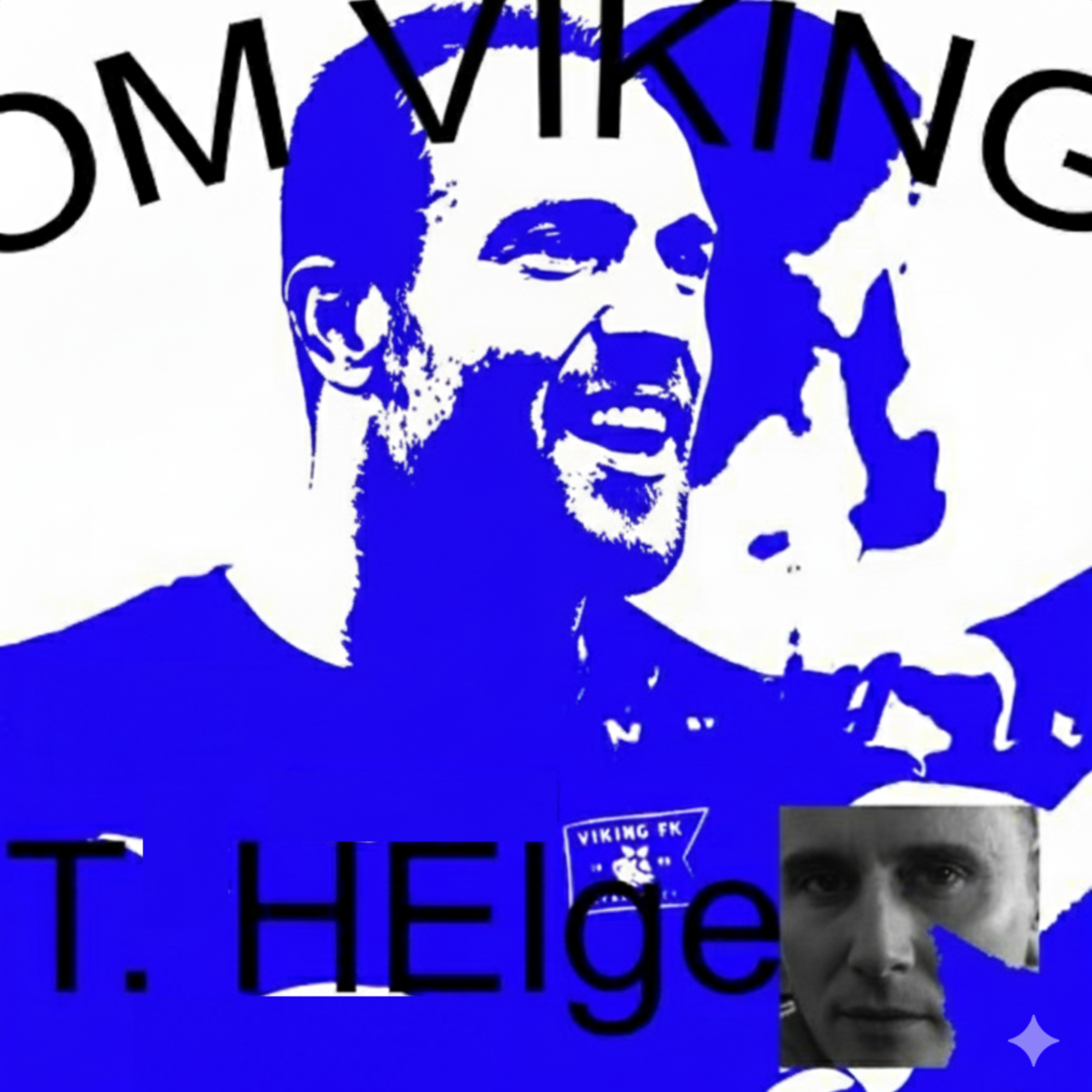 Om Viking av T. Helge podcast artwork