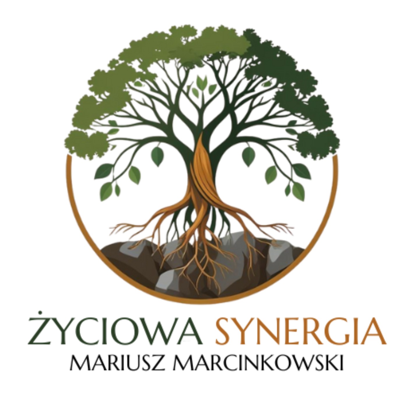 Życiowa Synergia