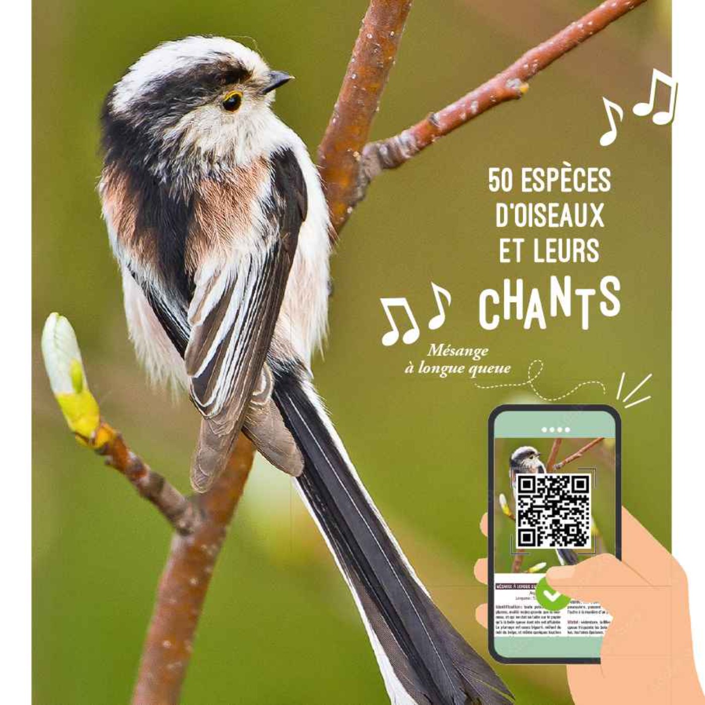 50 chants d'oiseaux de nos jardins