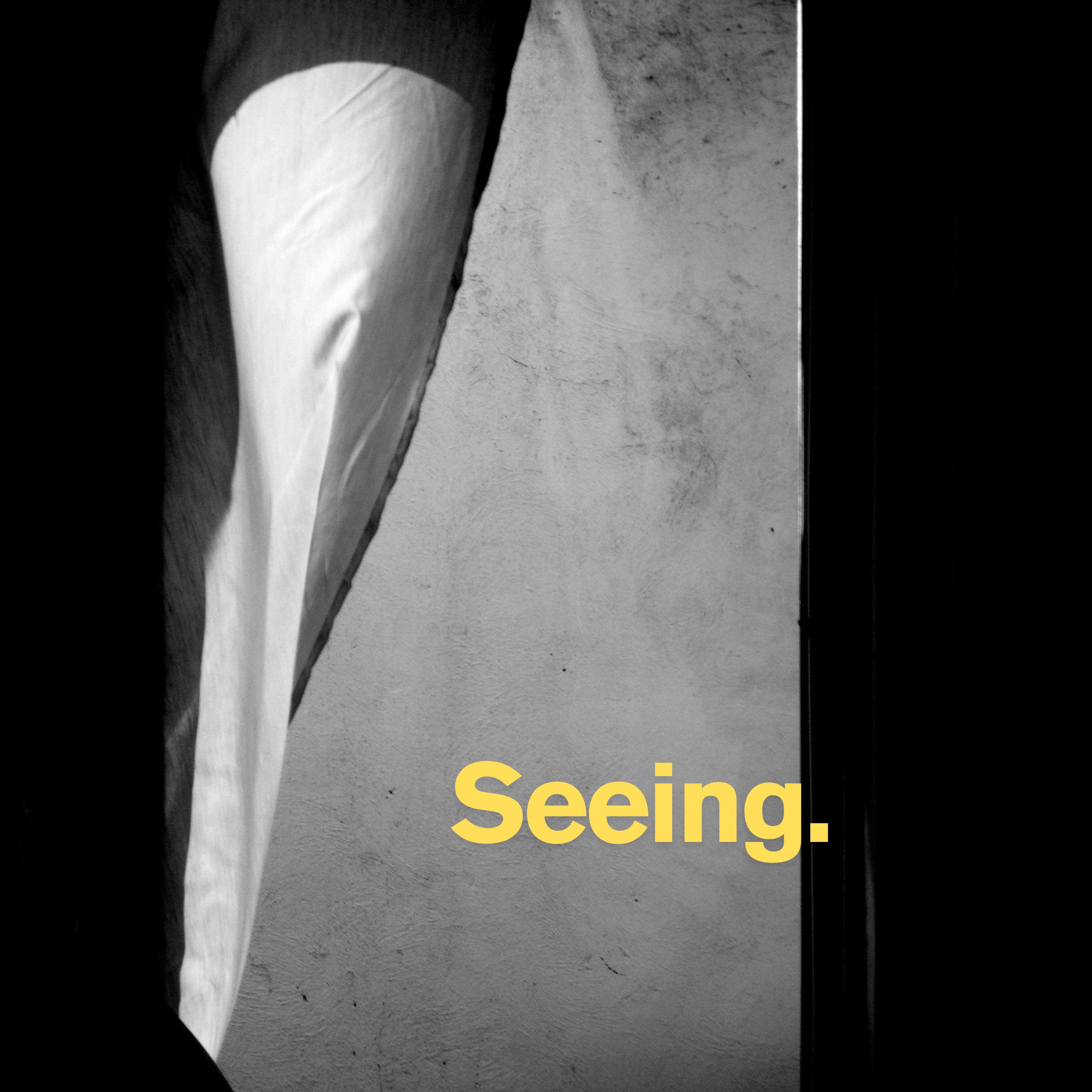 Seeing. - Inside the Mind of a Polymath.