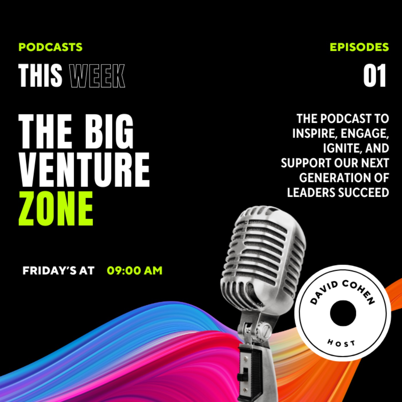The Big Venture Zone cover art