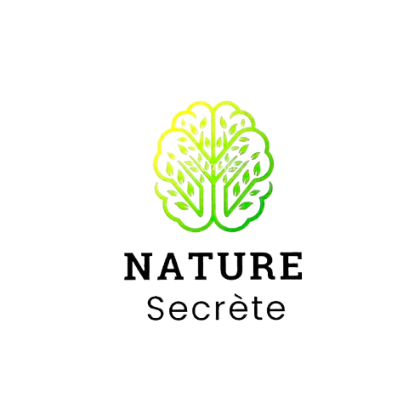Nature Secrète cover art