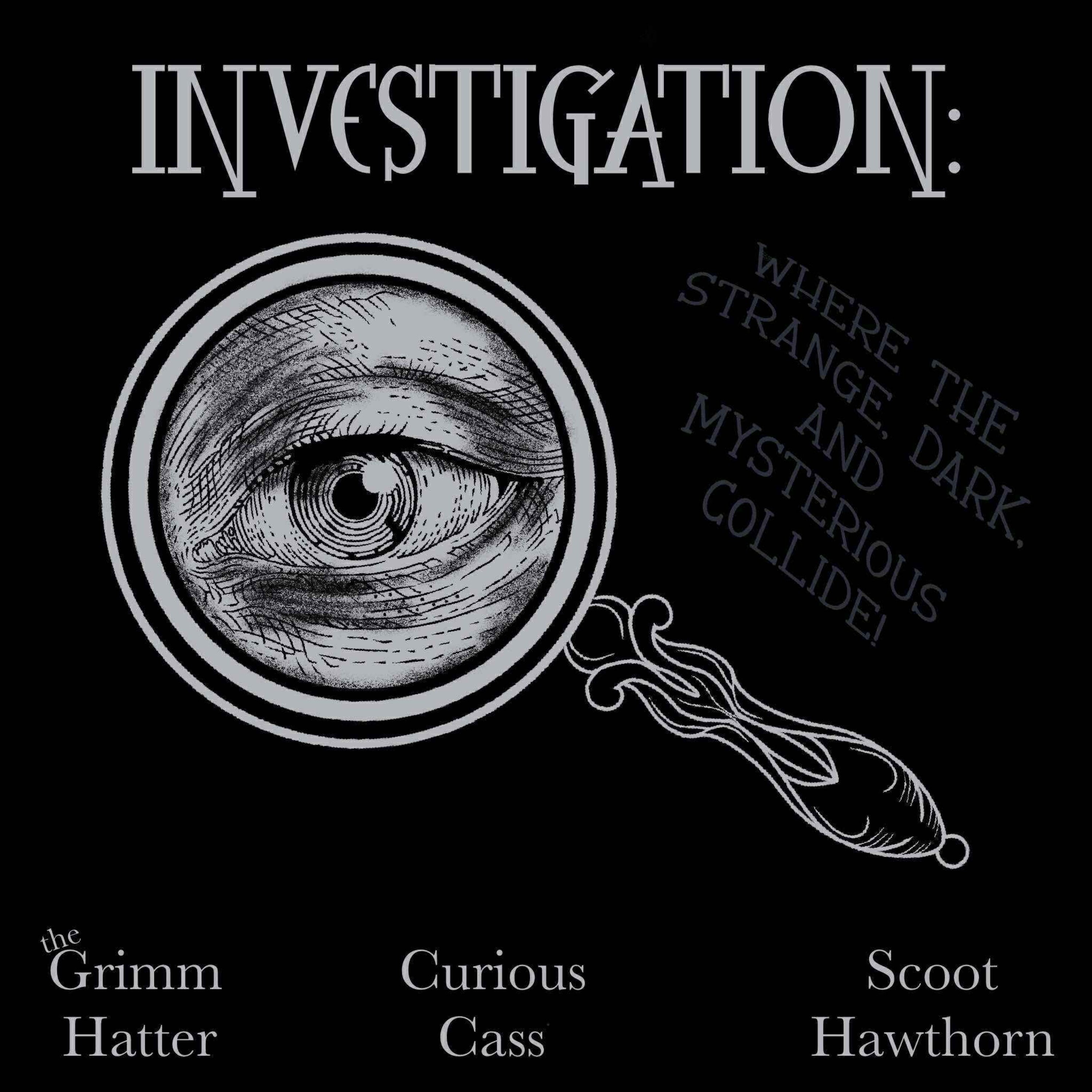 investigation: cover art
