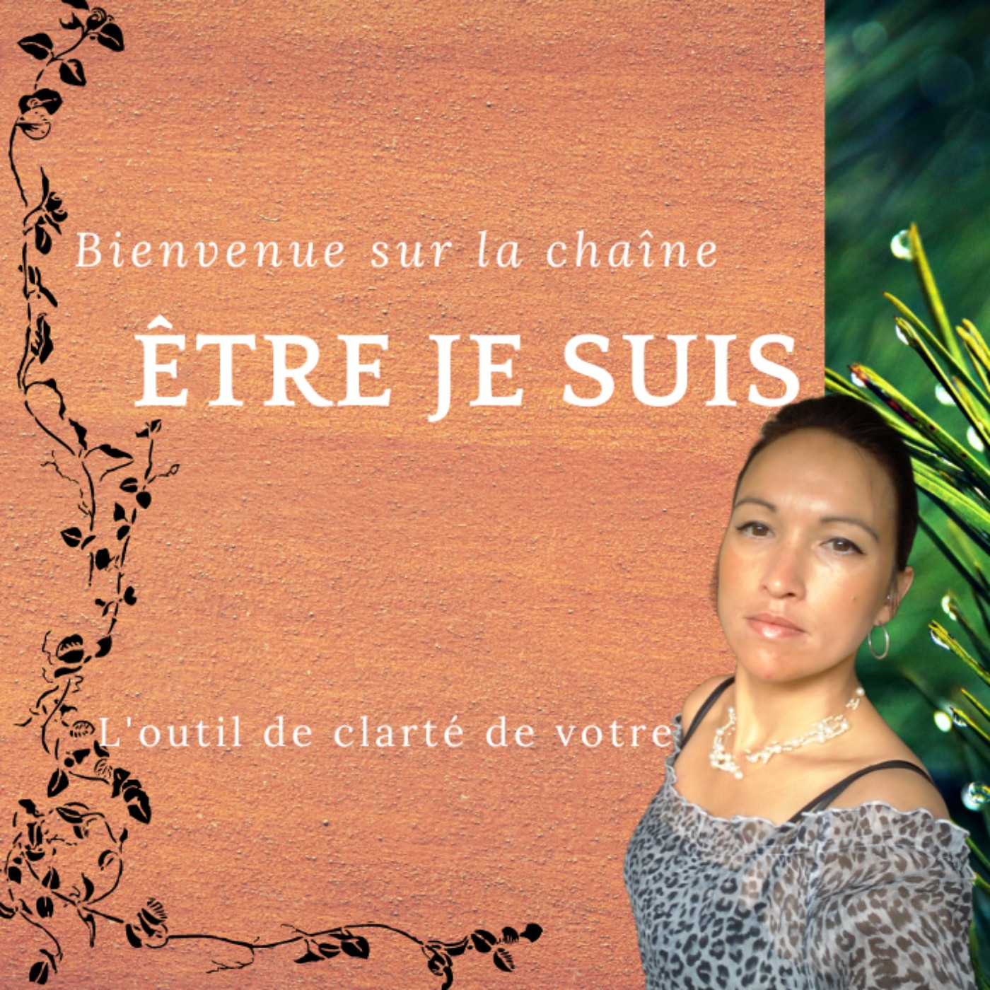 Se renouveler ... cover art