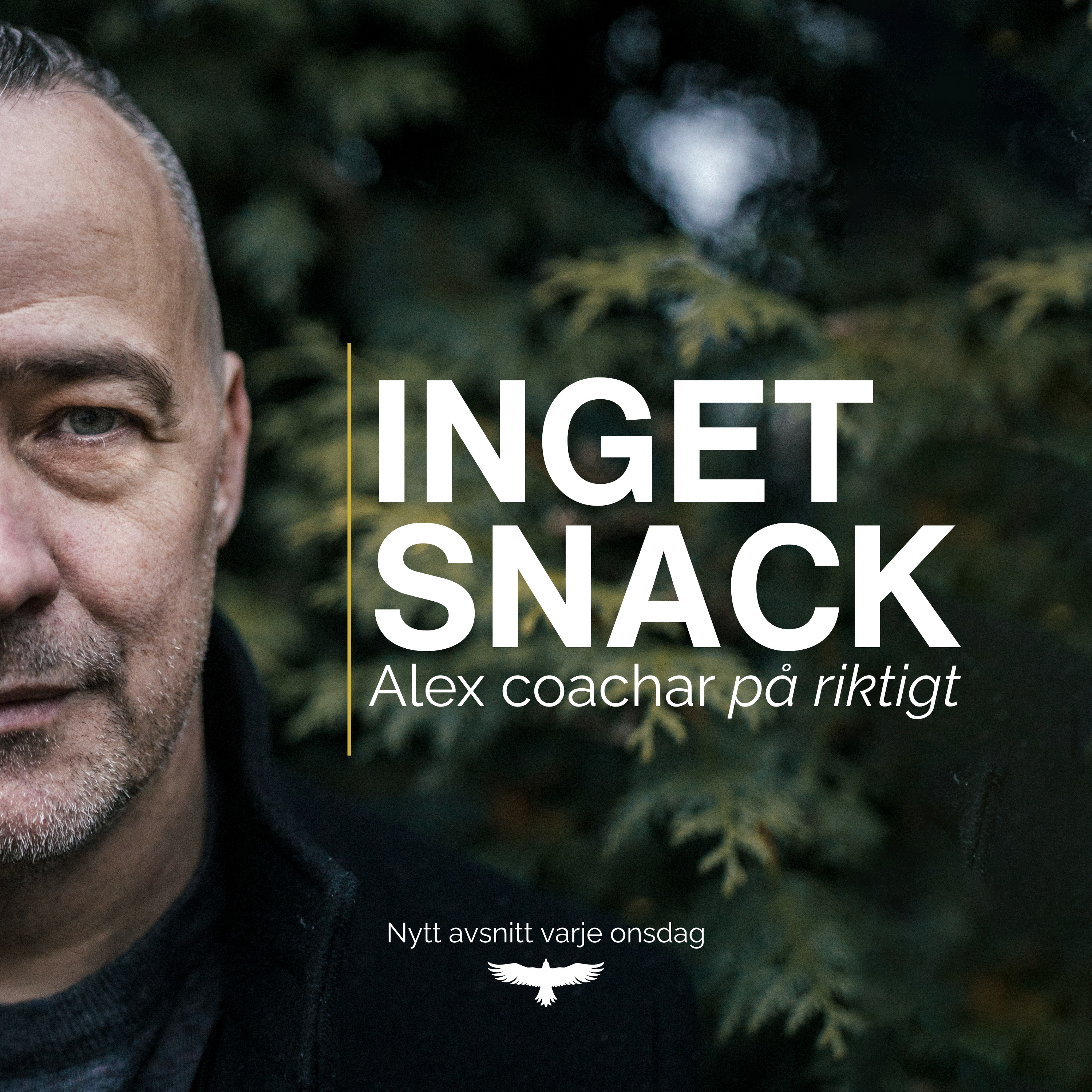 Inget Snack - Alex coachar på riktigt cover art