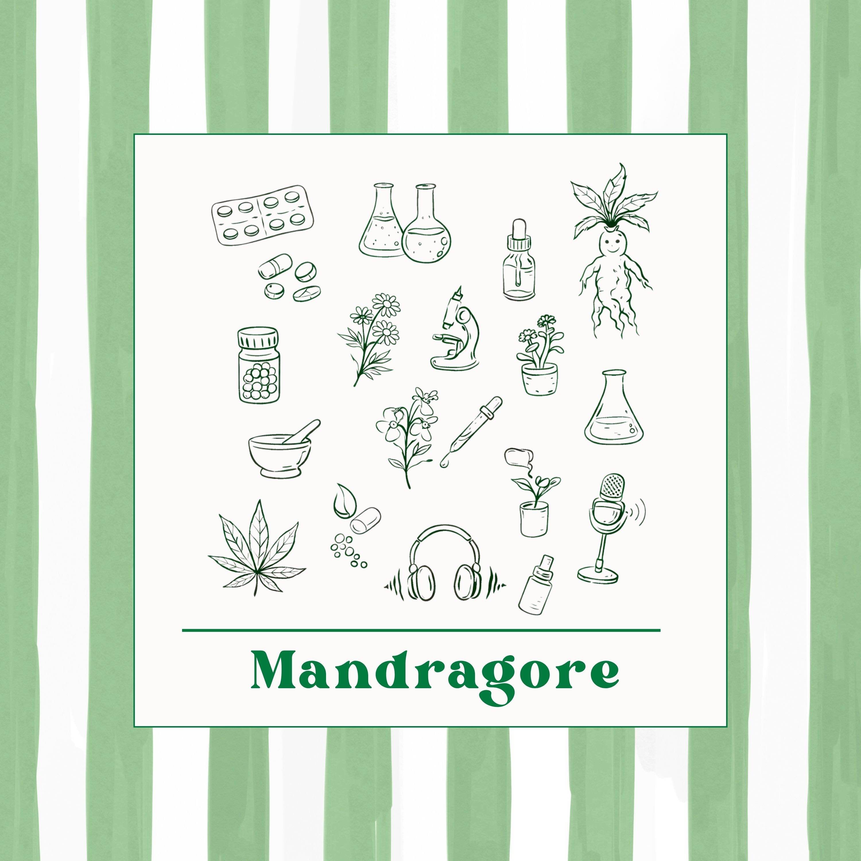 Mandragore cover art