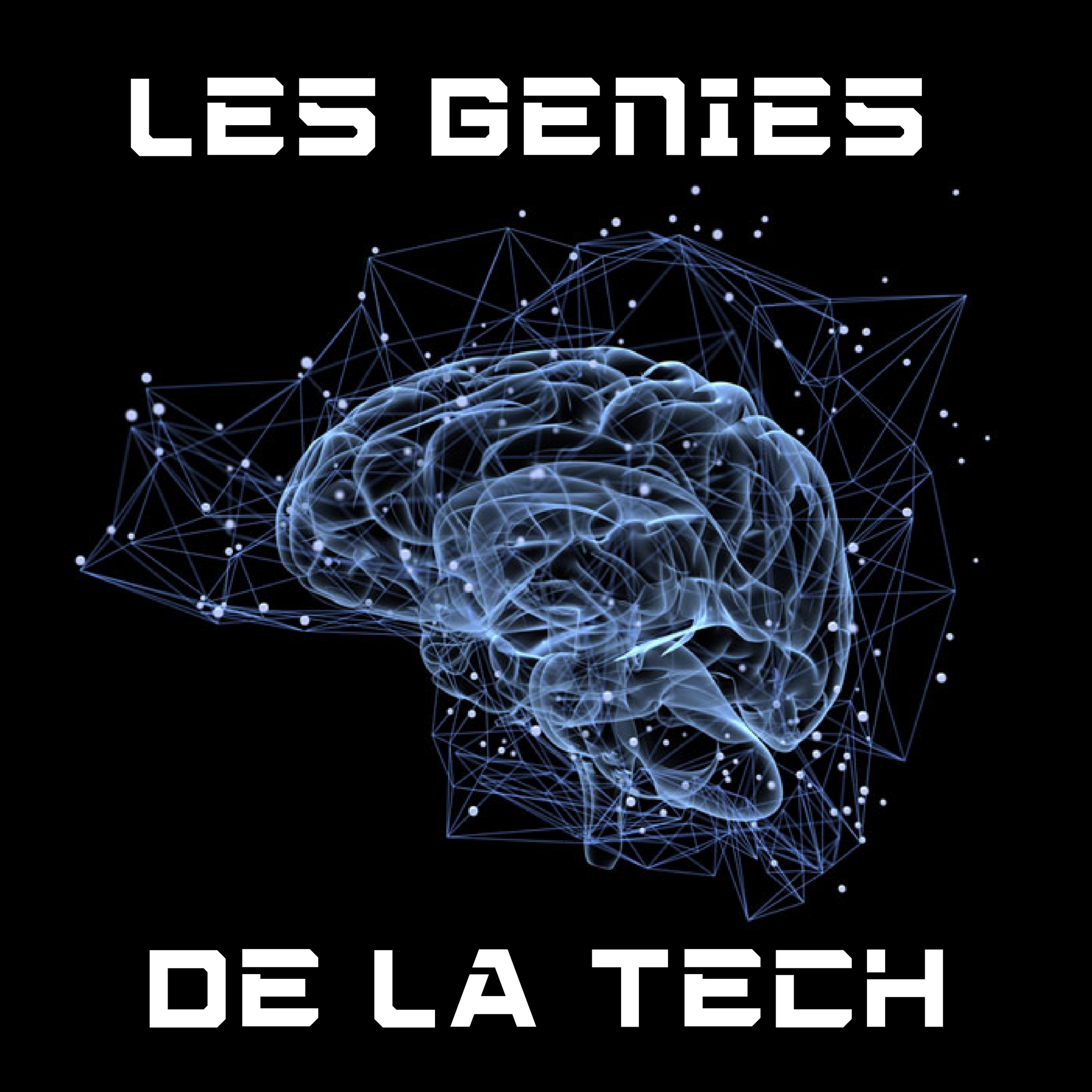 Les Génies De La Tech