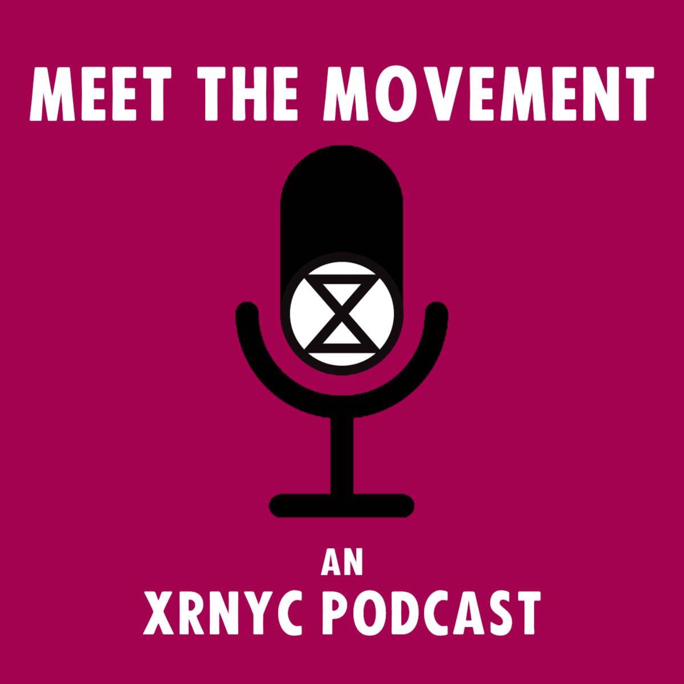 Meet the Movement podcast artwork
