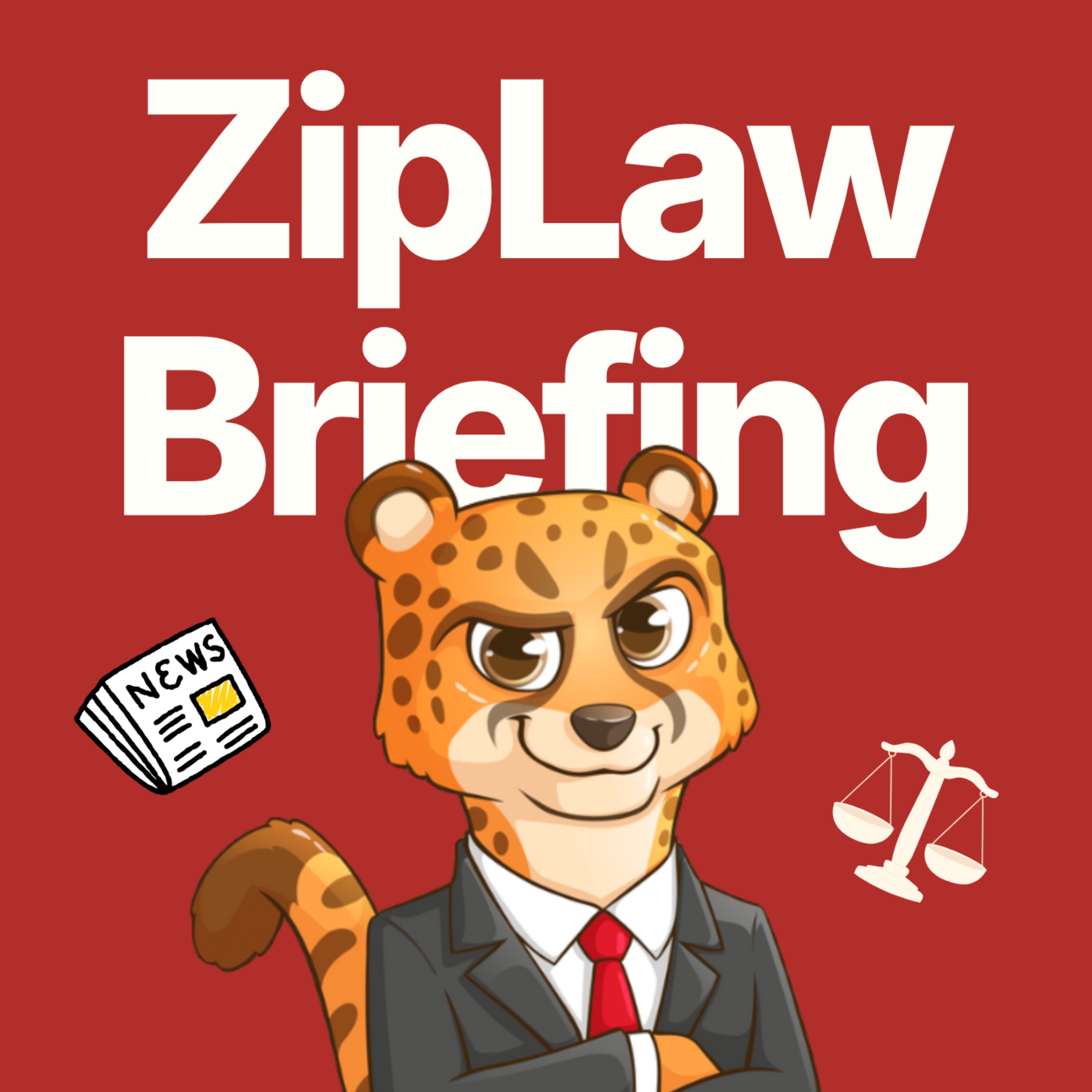 ZipLaw Briefing