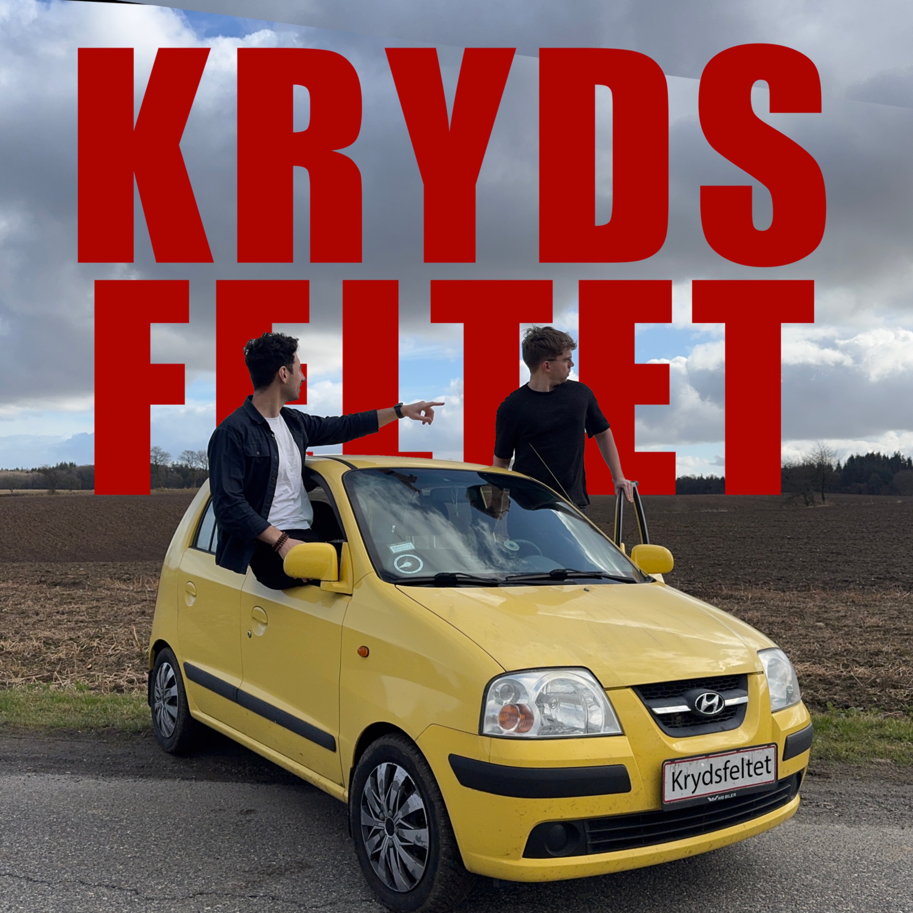 Krydsfeltet