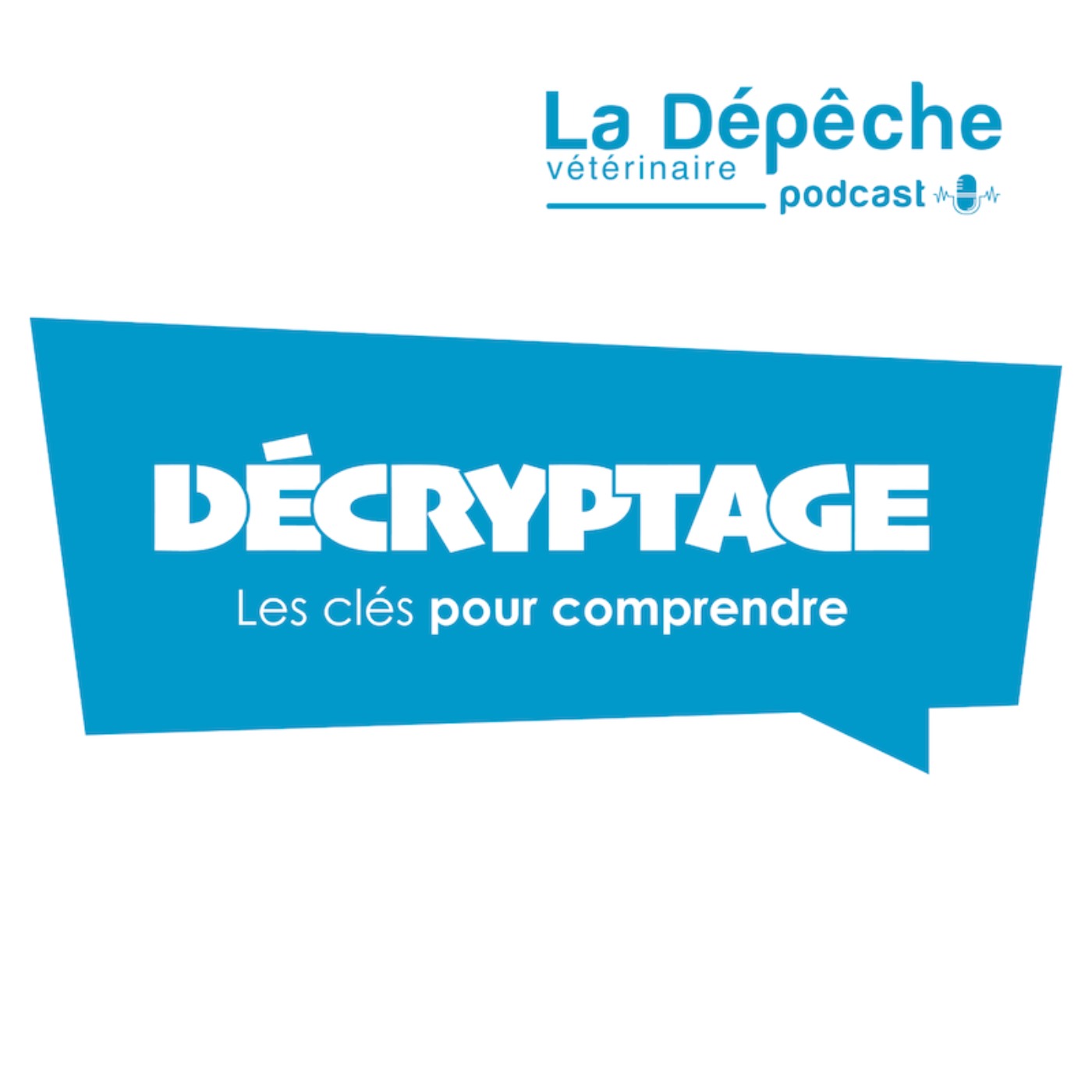 Décryptage Les clés pour comprendre