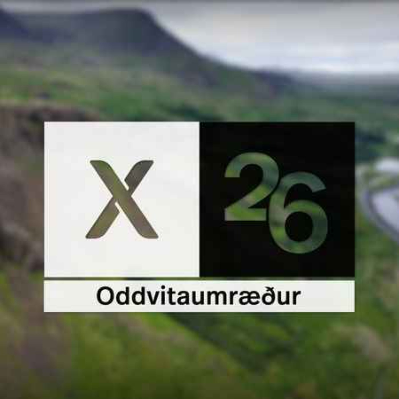 X26 - Oddvitaumræður